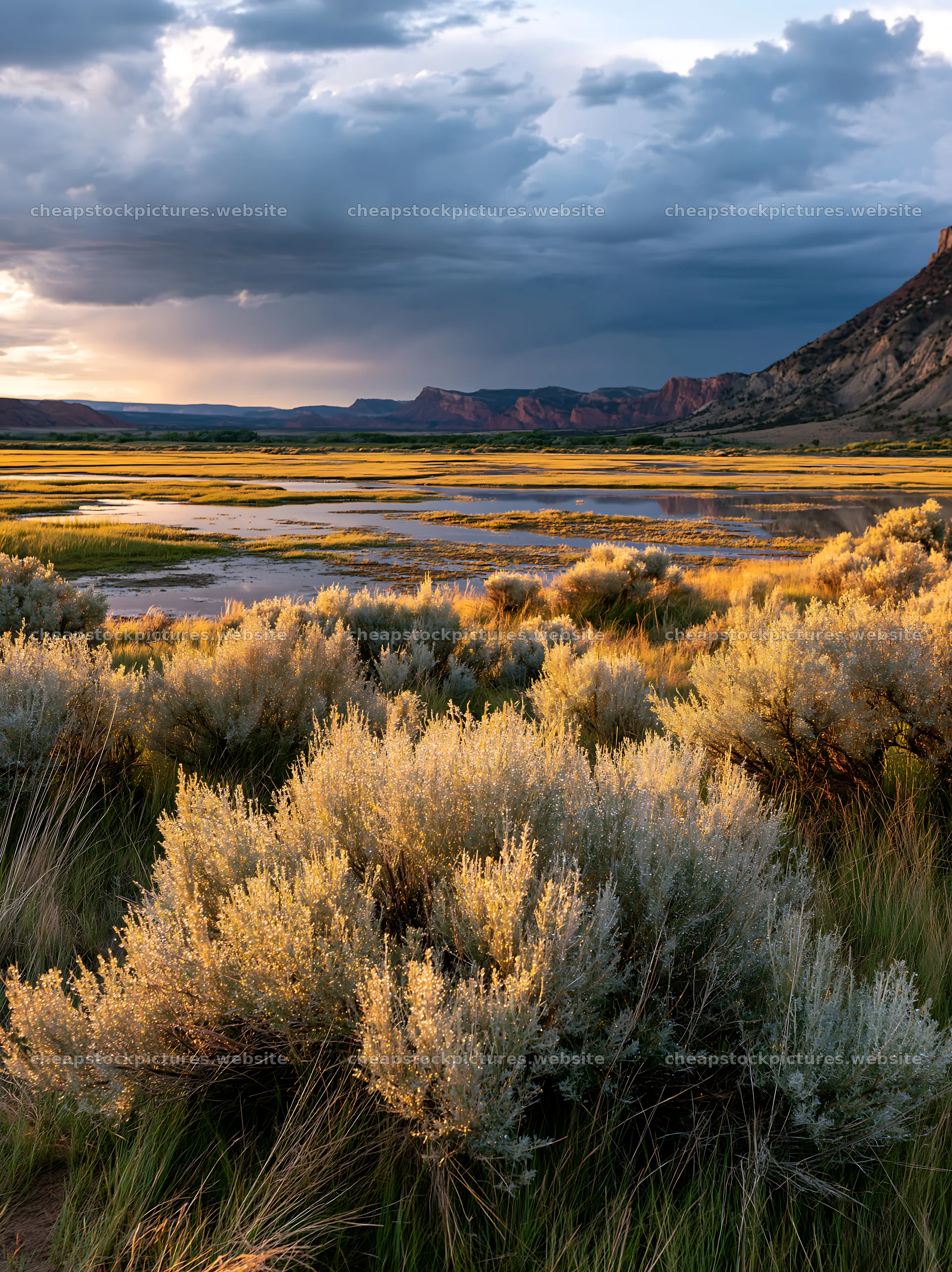 Sagebrush meadow under cloudy sky at sunset in natural setting – stock pictures 6866x9174