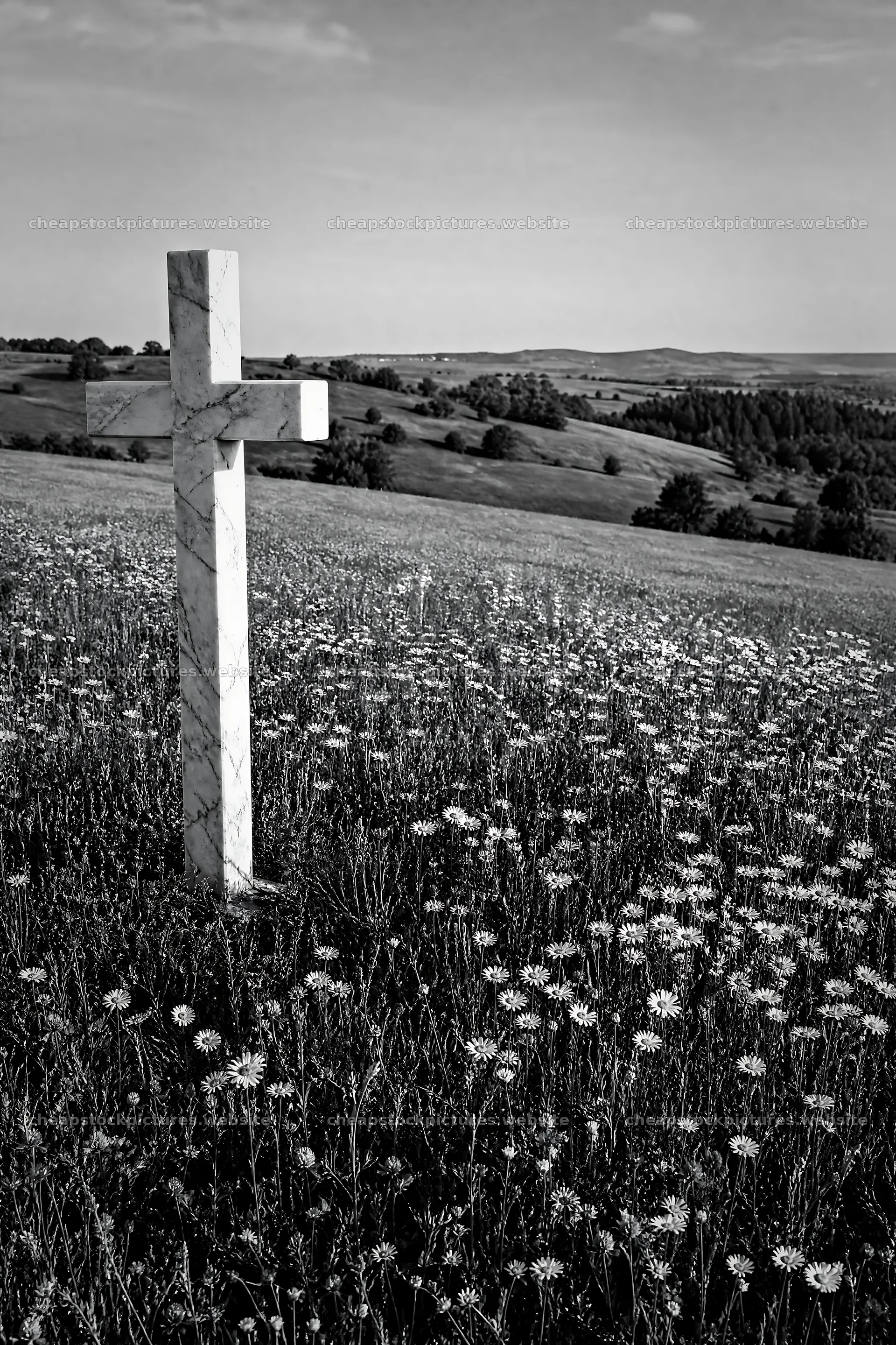 Marble Christian cross in meadow during sunny day – stock pictures 6480x9722
