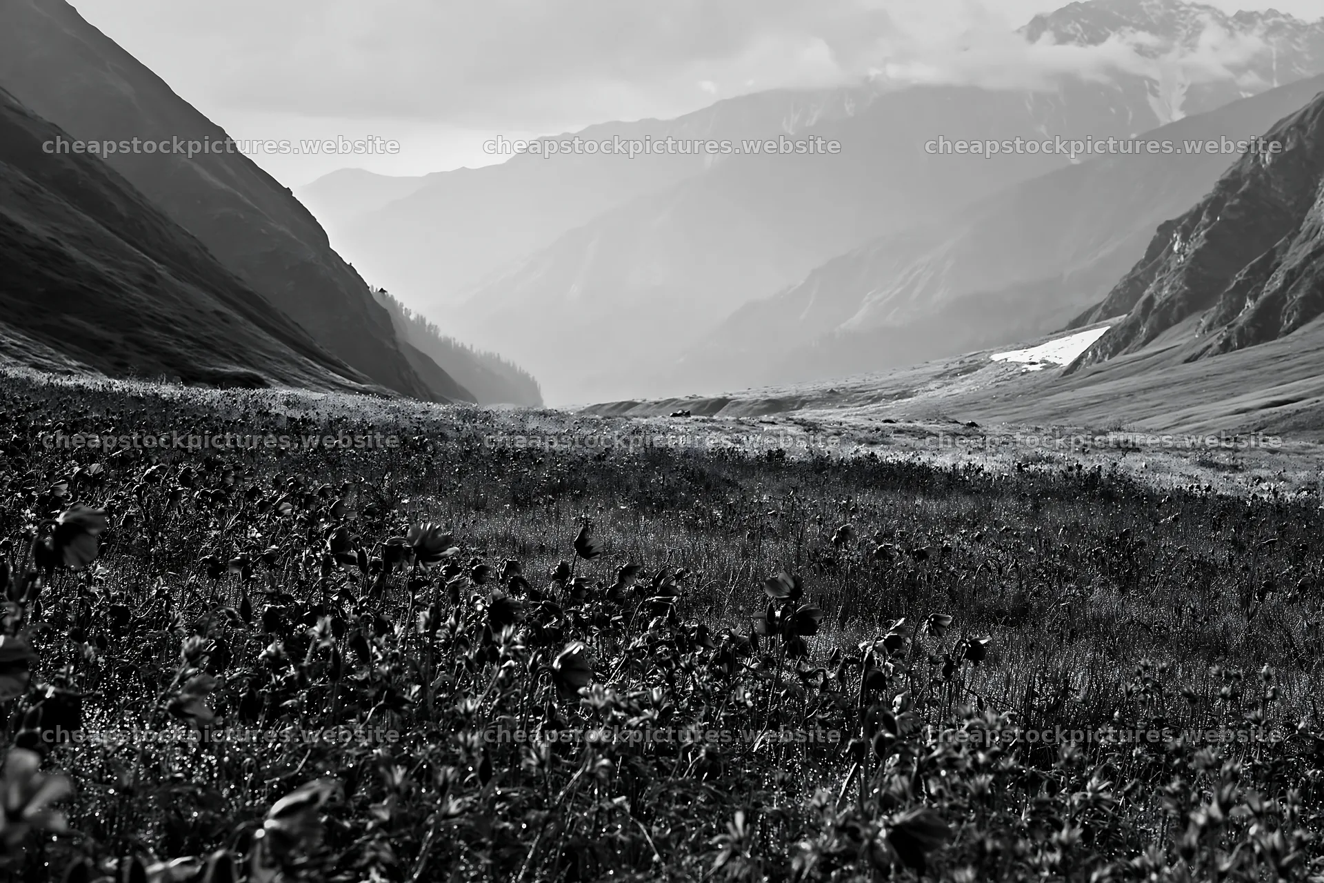 Snowline meadow with distant mountains and cloudy sky – stock pictures 9722x6480