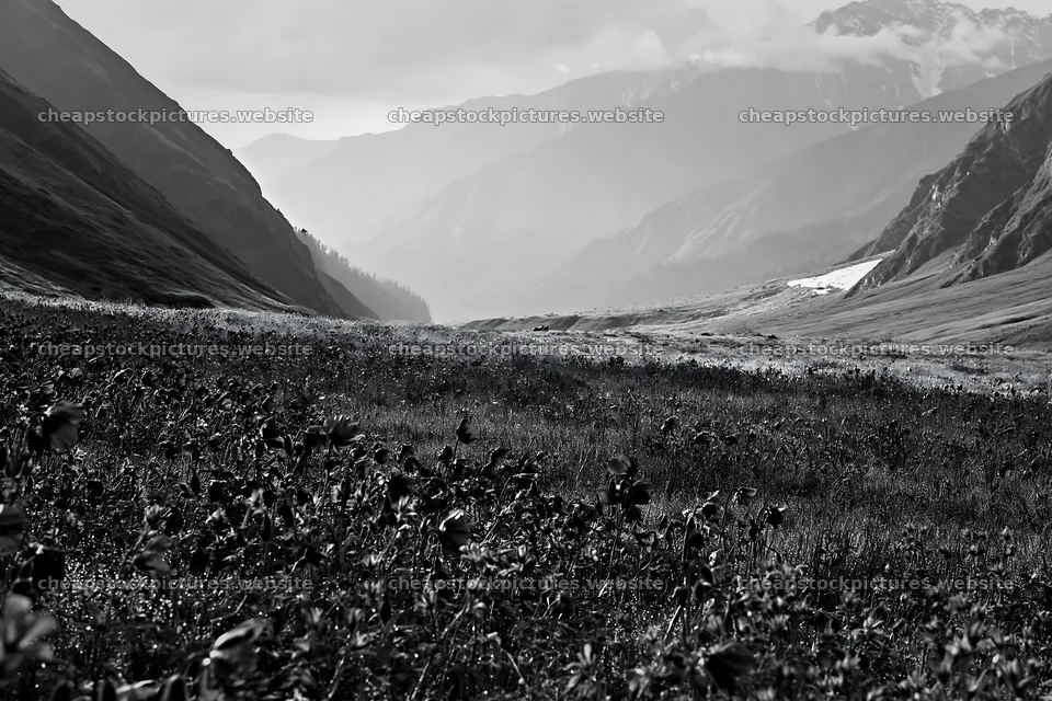 Snowline meadow with distant mountains and cloudy sky – stock pictures 9722x6480