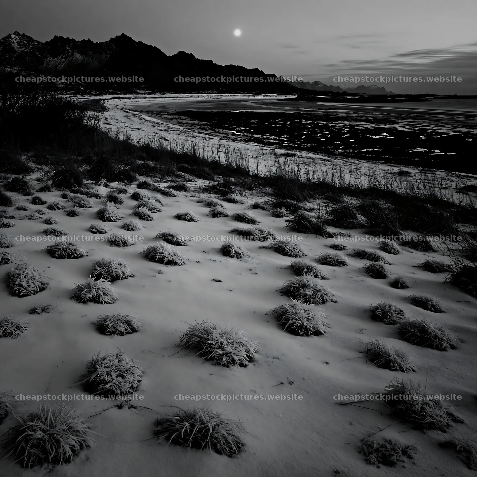 Lofoten coastal meadow covered in winter snow at dusk – stock pictures 7938x7938