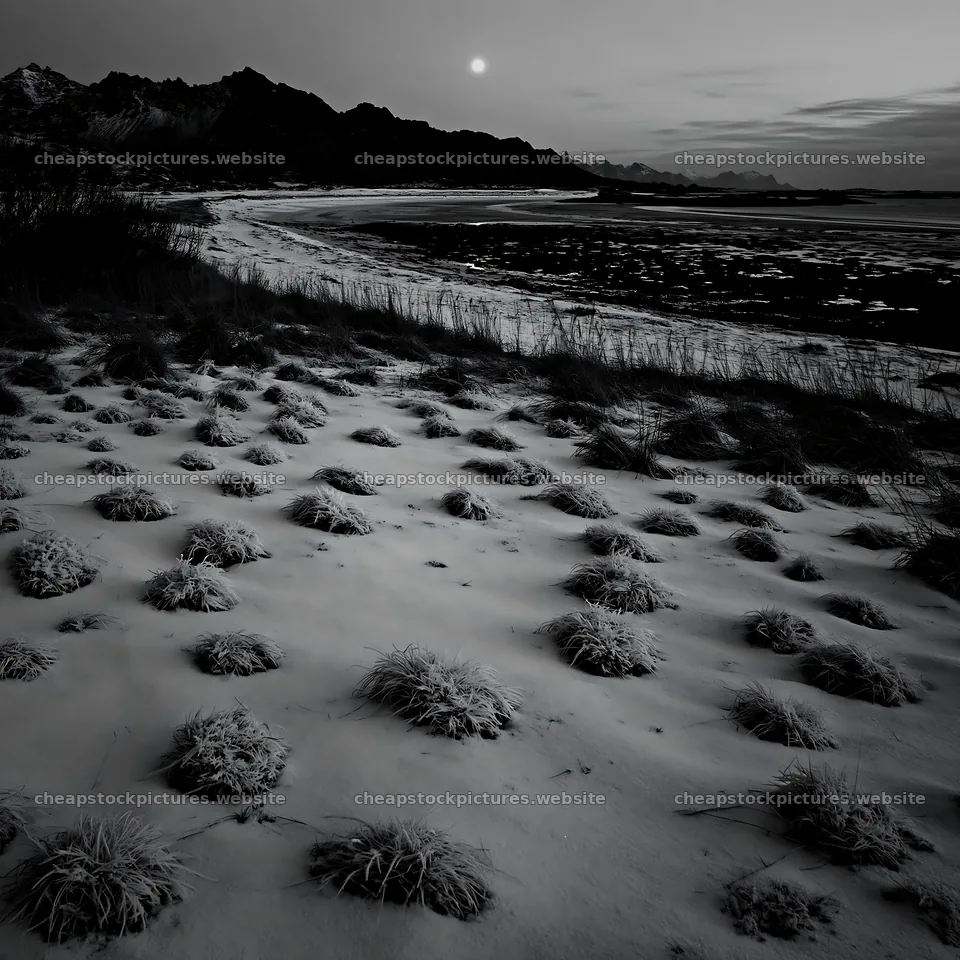 Lofoten coastal meadow covered in winter snow at dusk – stock pictures 7938x7938