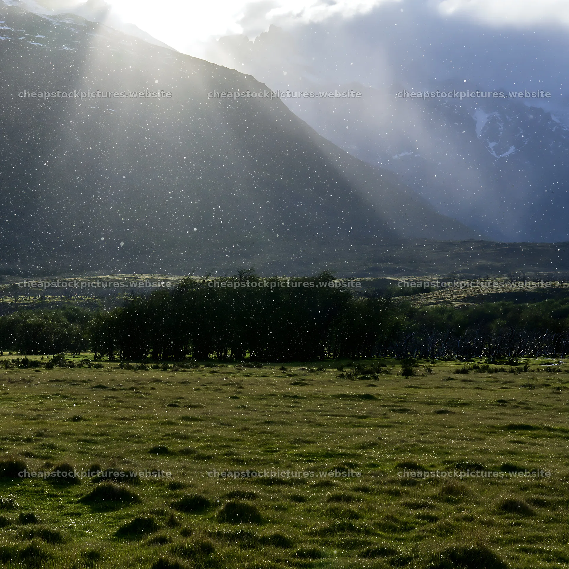 Snow falling in Torres del Paine meadow during daytime – stock pictures 7938x7938