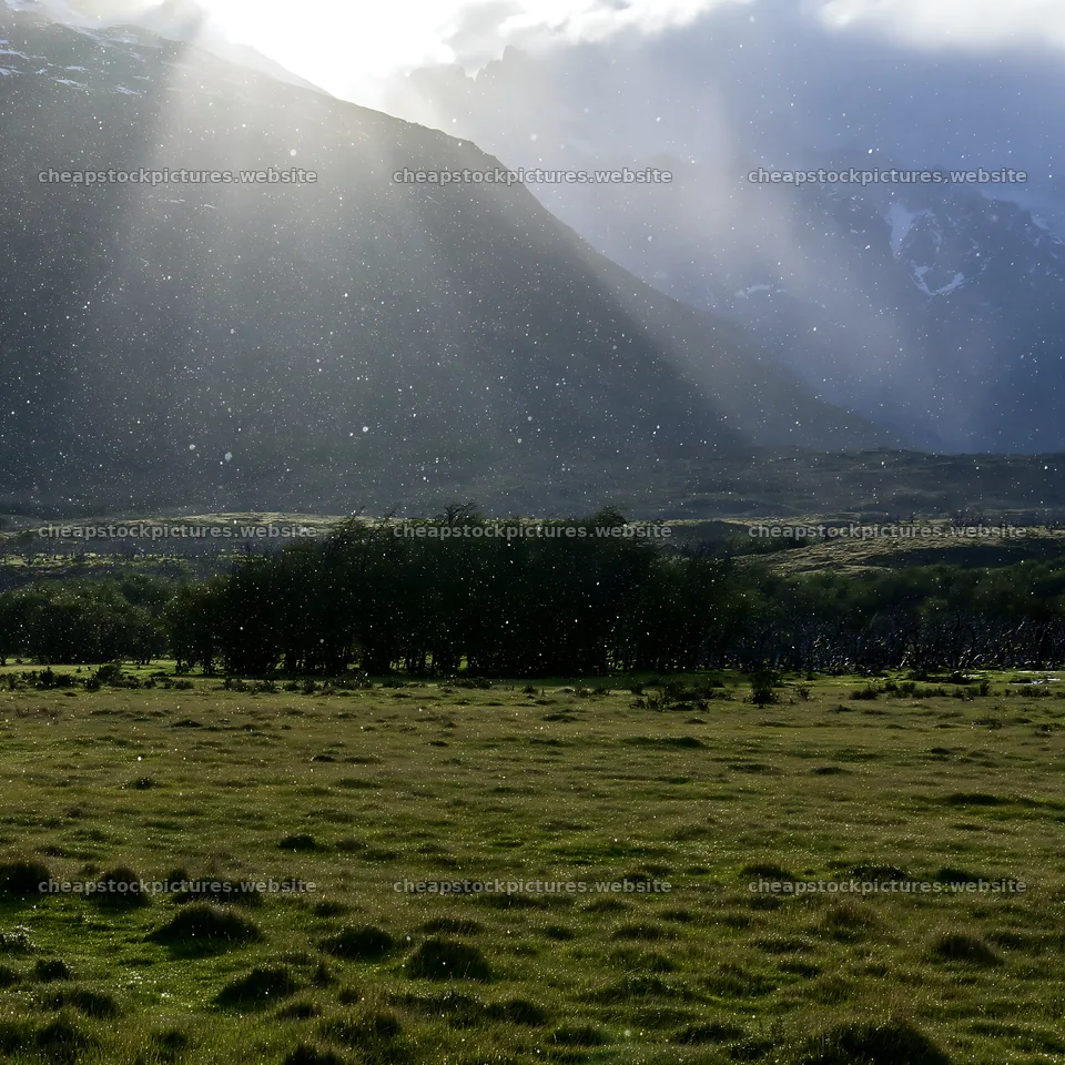 Snow falling in Torres del Paine meadow during daytime – stock pictures 7938x7938