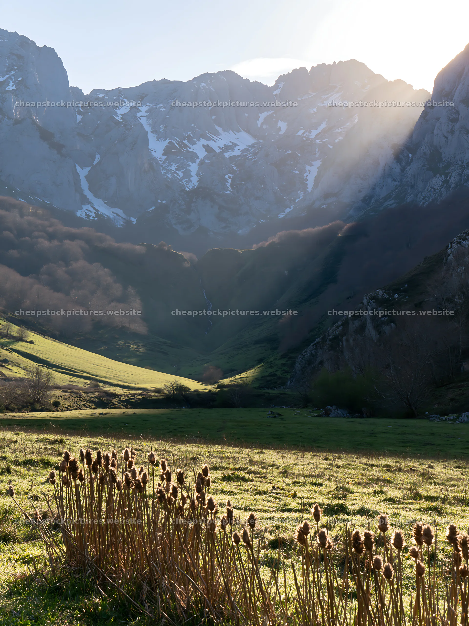 Meadow in Picos de Europa with sunrays and mountains visible – stock pictures 6866x9174