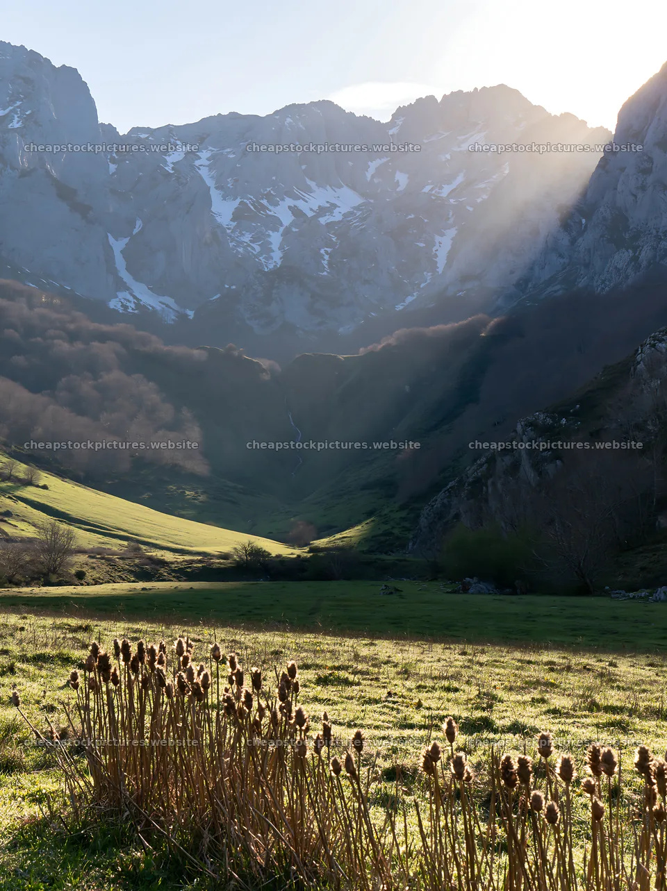 Meadow in Picos de Europa with sunrays and mountains visible – stock pictures 6866x9174