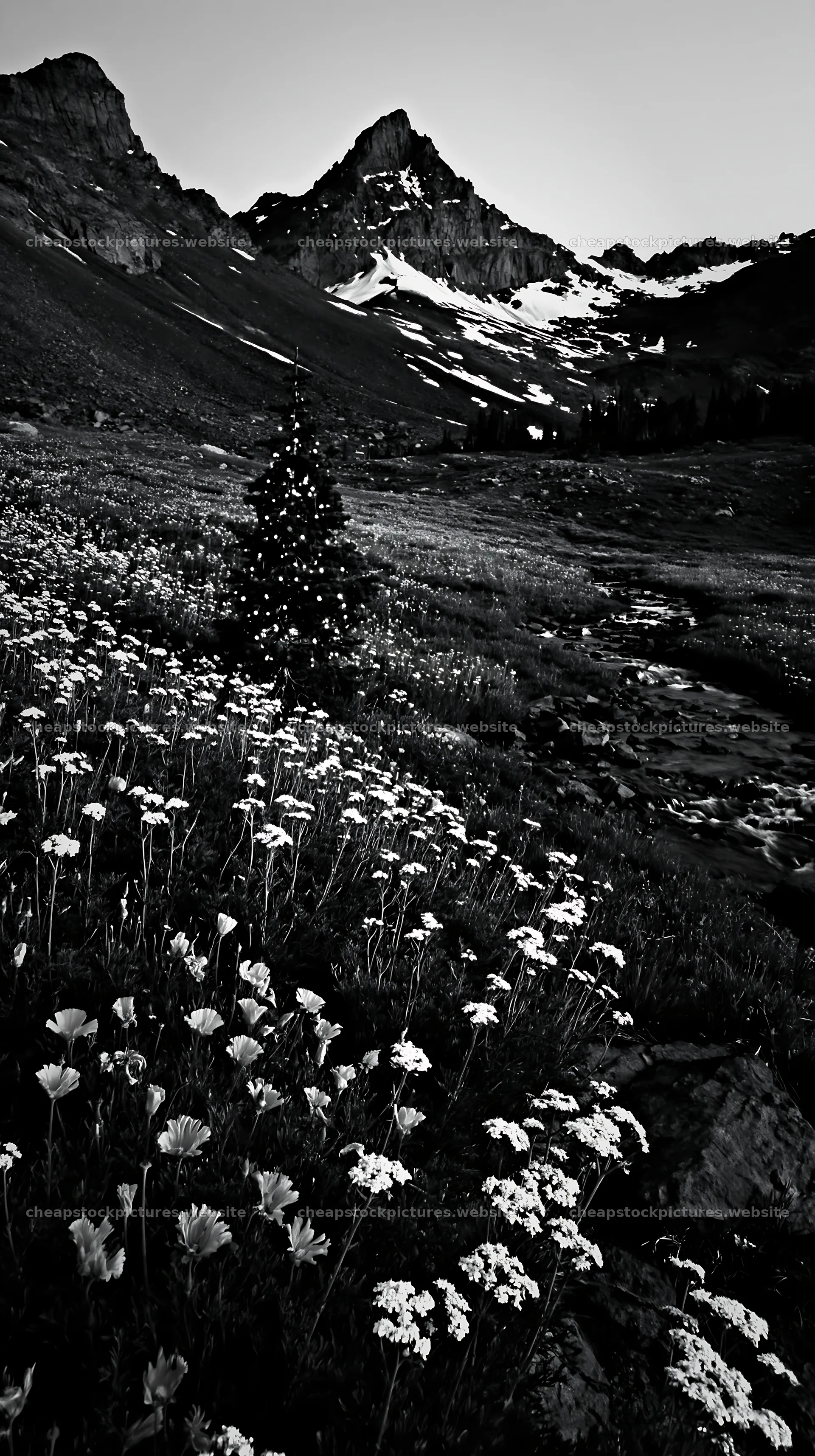 Christmas tree with lights in meadow beside stream and mountains – stock pictures 5938x10608