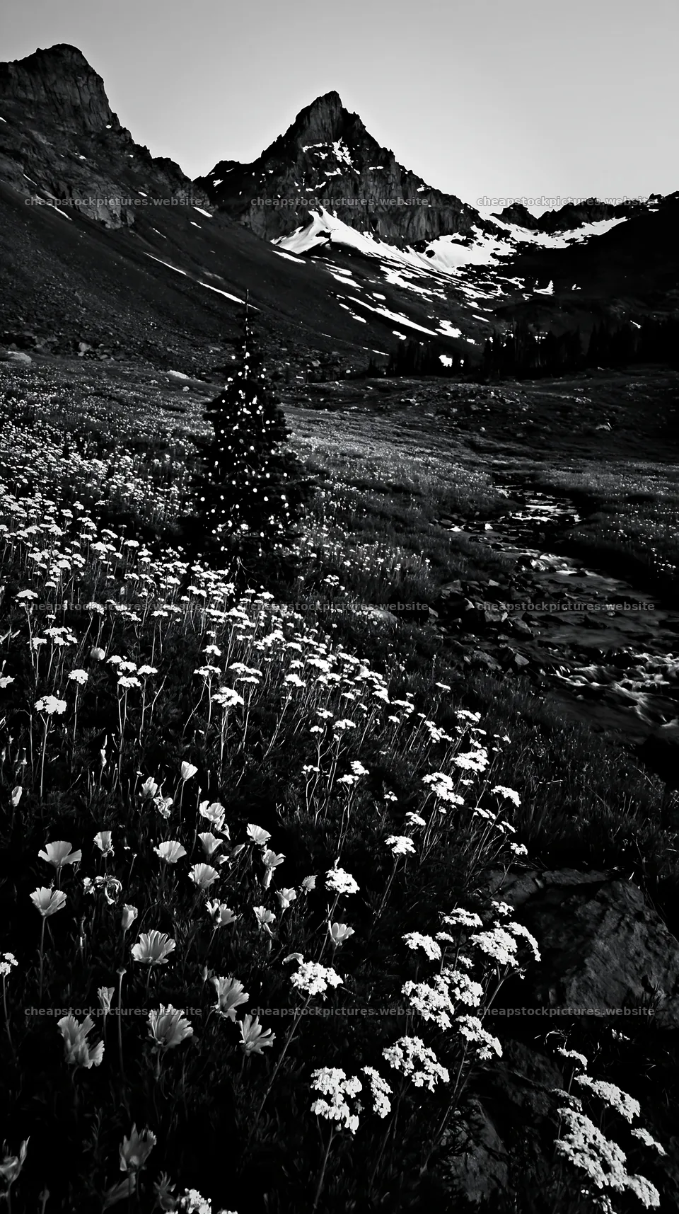 Christmas tree with lights in meadow beside stream and mountains – stock pictures 5938x10608