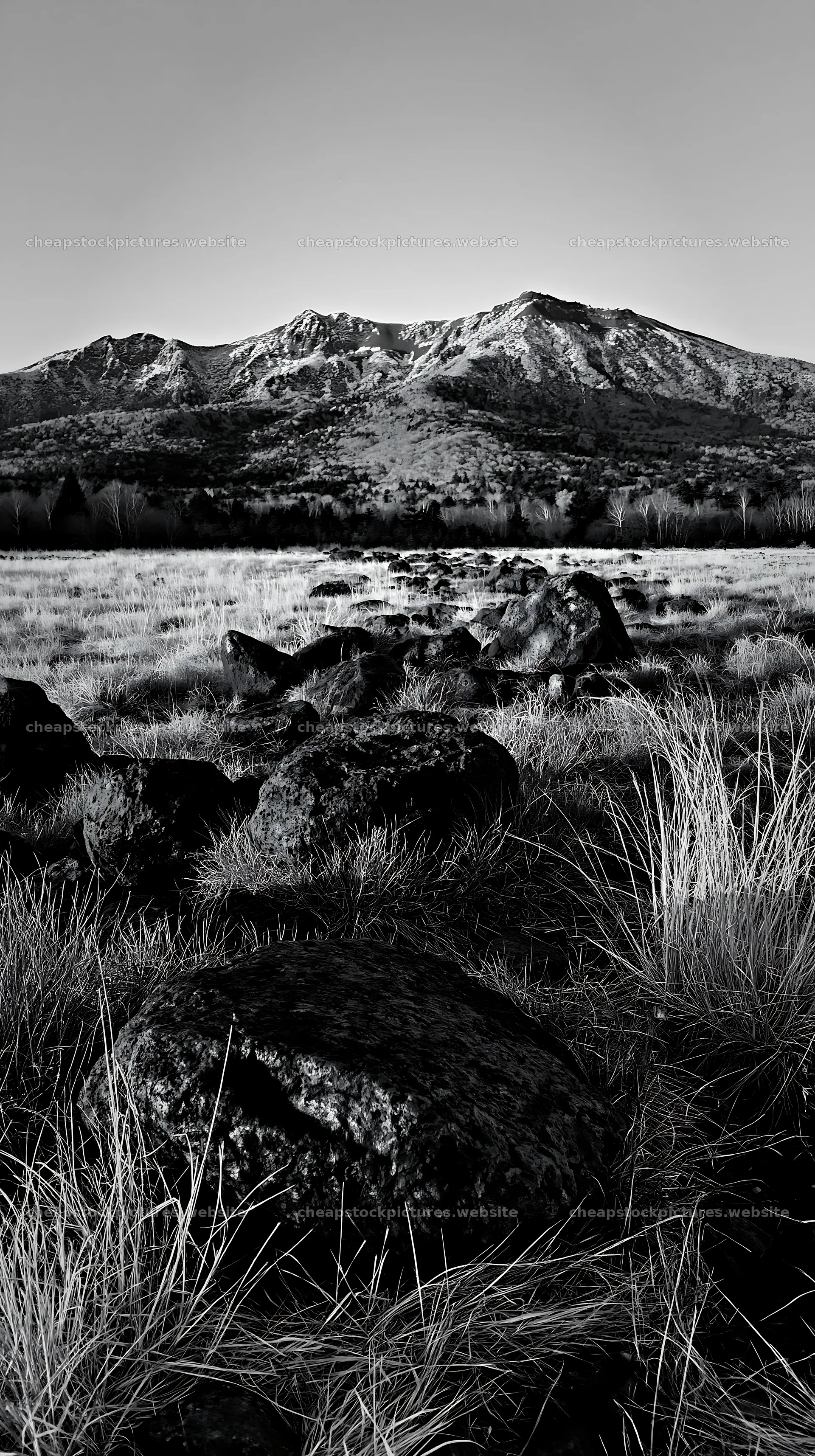 Yamanashi regenerative meadow with basalt stones under sunset light – stock pictures 5938x10608