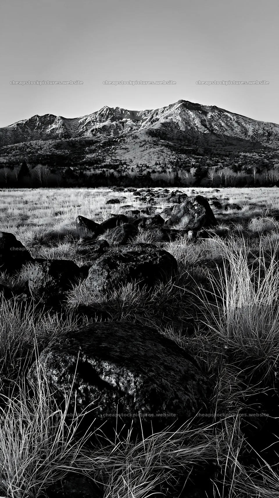 Yamanashi regenerative meadow with basalt stones under sunset light – stock pictures 5938x10608