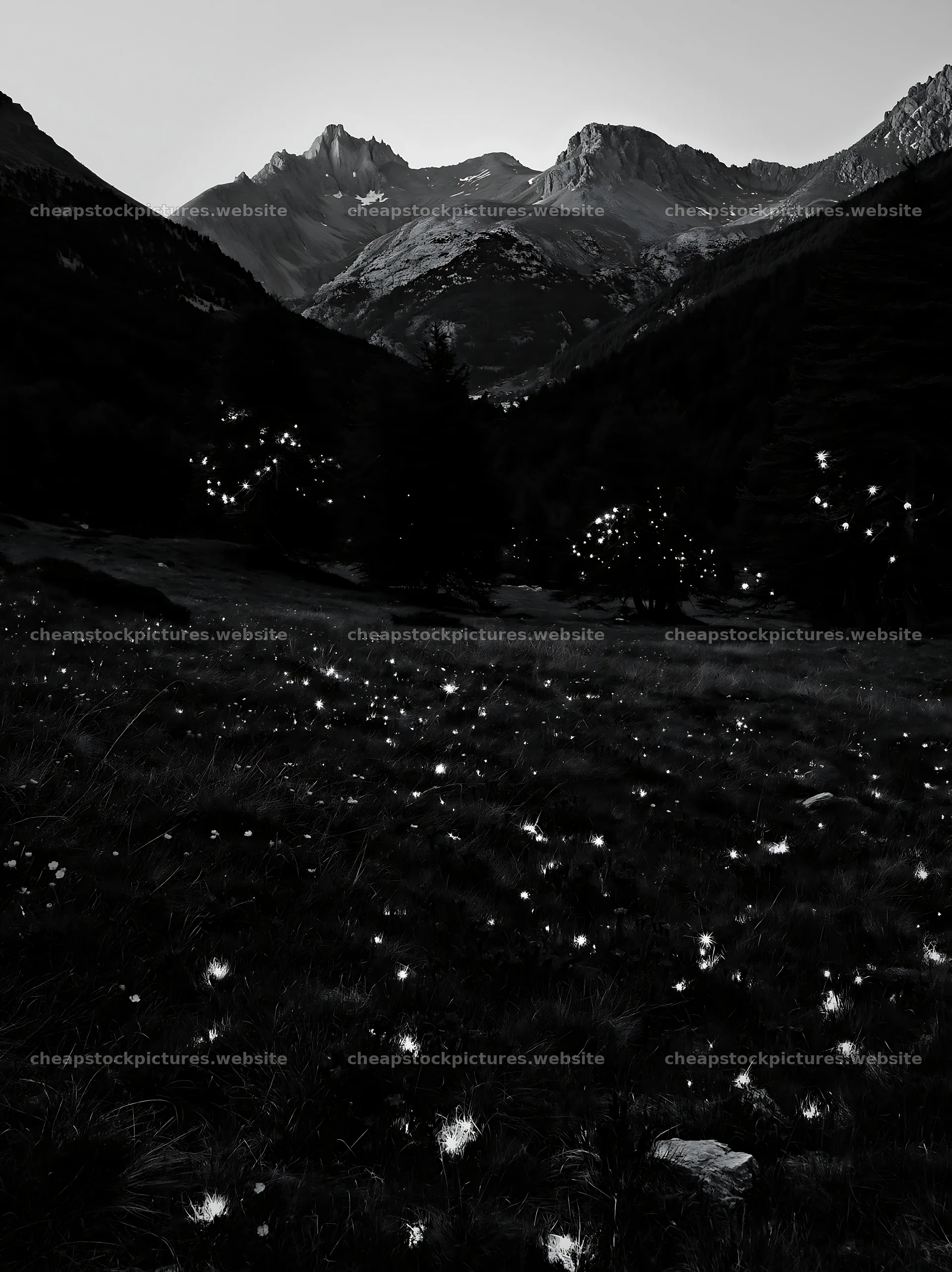 Christmas lights across mountain valley meadow – stock pictures 6866x9174