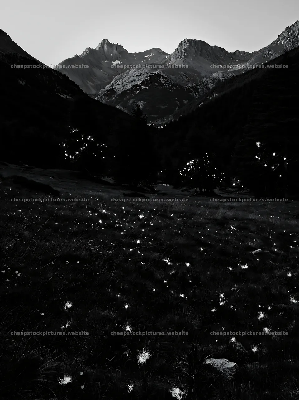 Christmas lights across mountain valley meadow – stock pictures 6866x9174