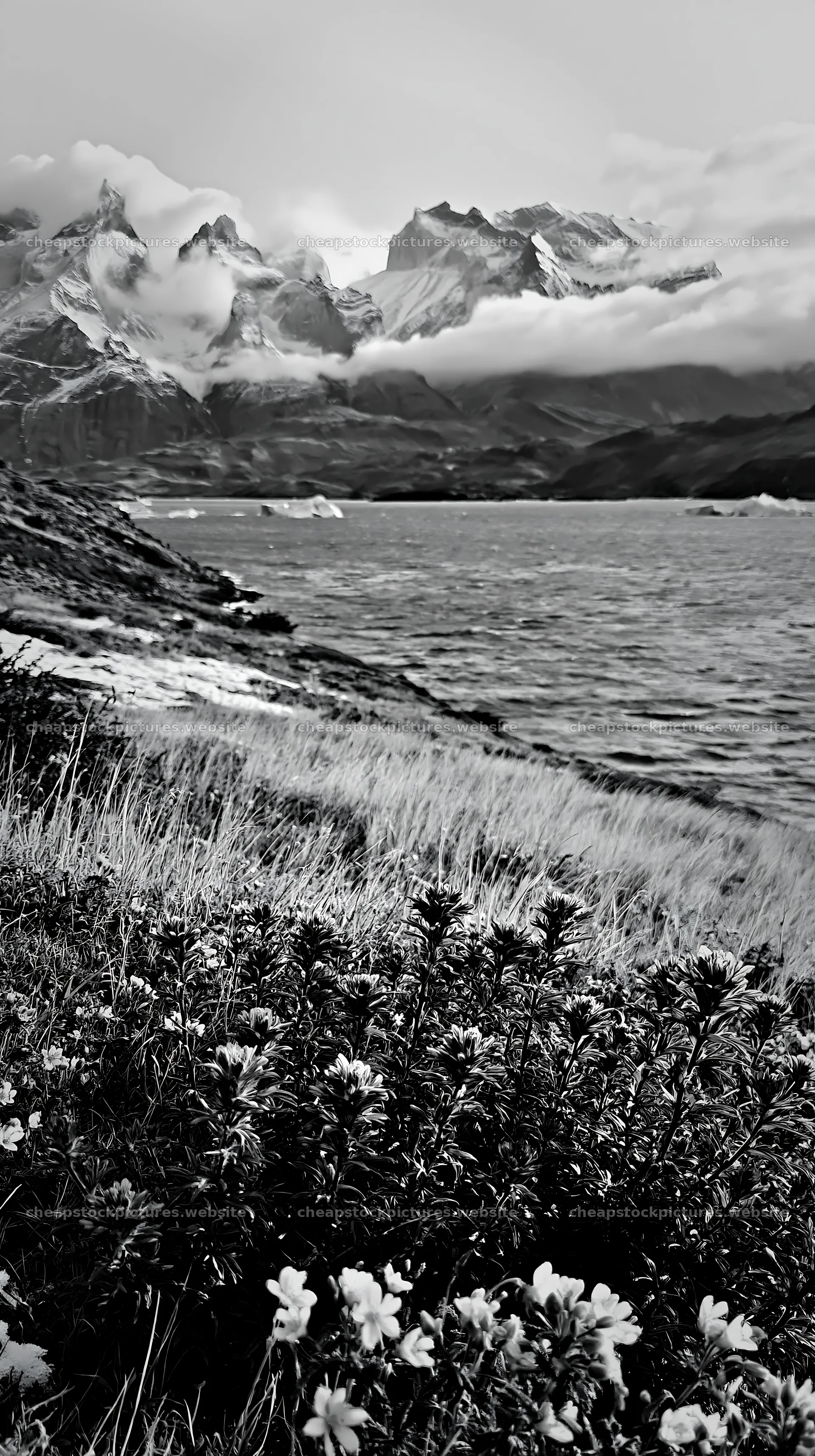 Snowy meadow at Torres del Paine with mountains in background – stock pictures 5938x10608