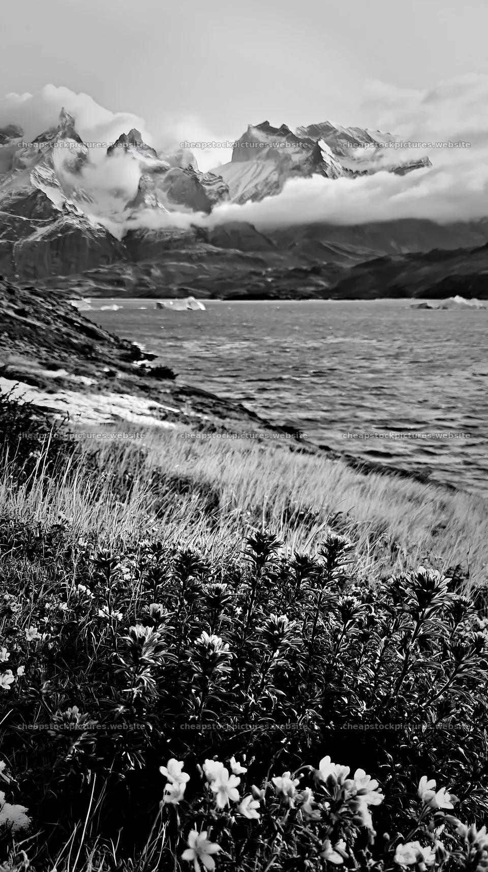 Snowy meadow at Torres del Paine with mountains in background – stock pictures 5938x10608