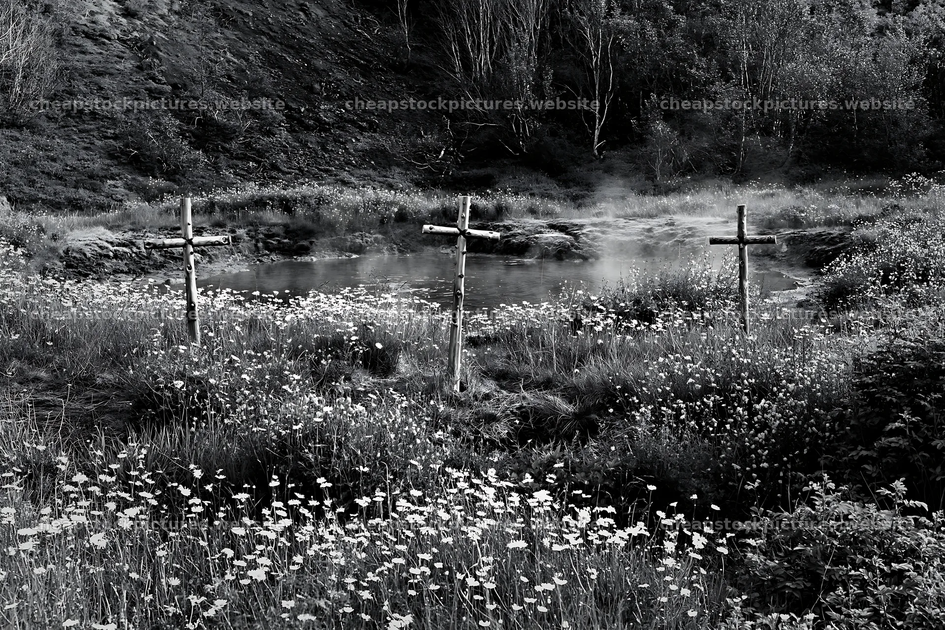 Christian crosses in geothermal spring meadow – stock pictures 9722x6480