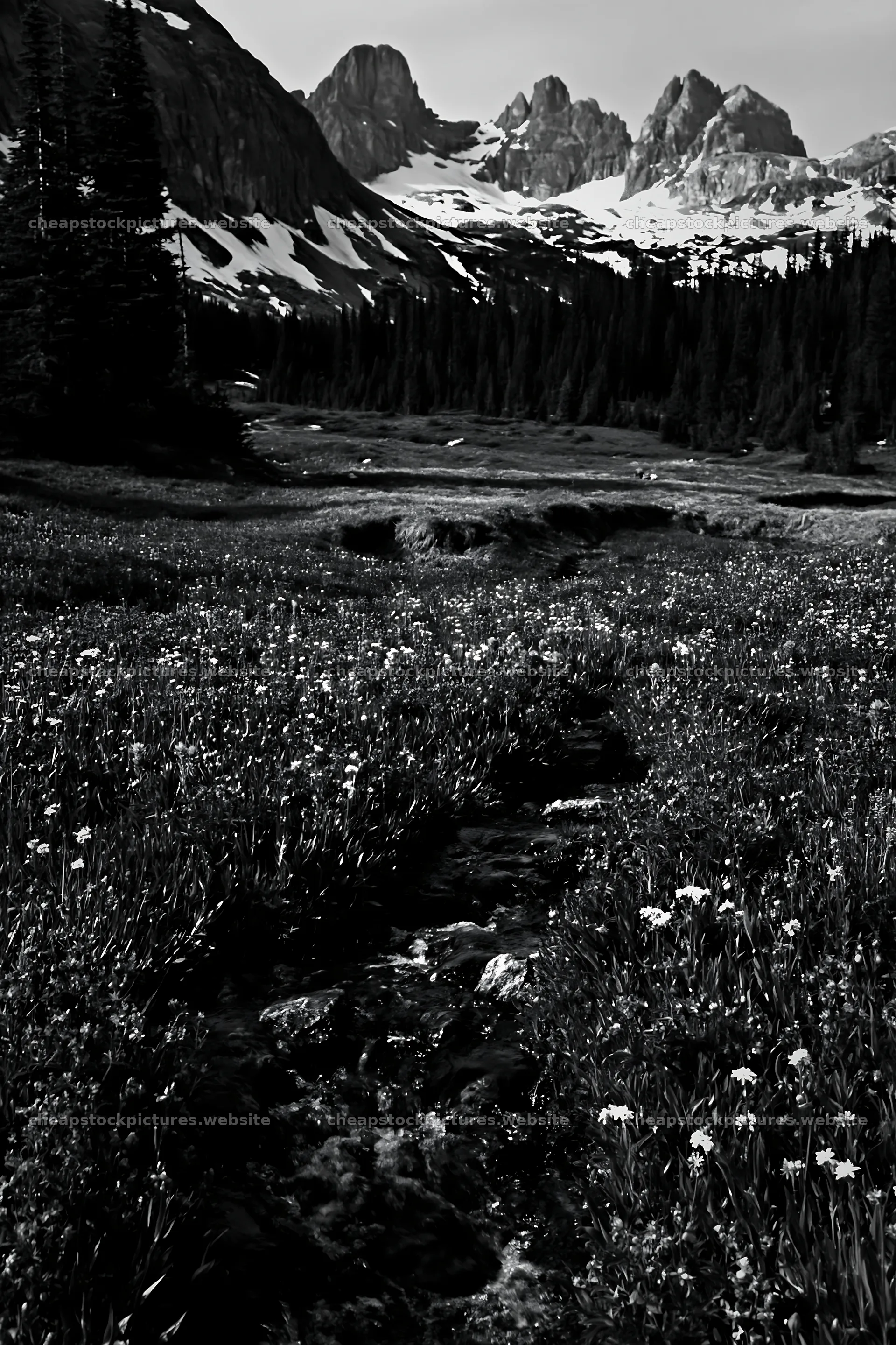 Rolling valley meadows with snow-capped mountains in background – stock pictures 6480x9722