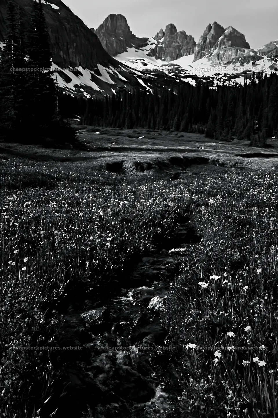 Rolling valley meadows with snow-capped mountains in background – stock pictures 6480x9722