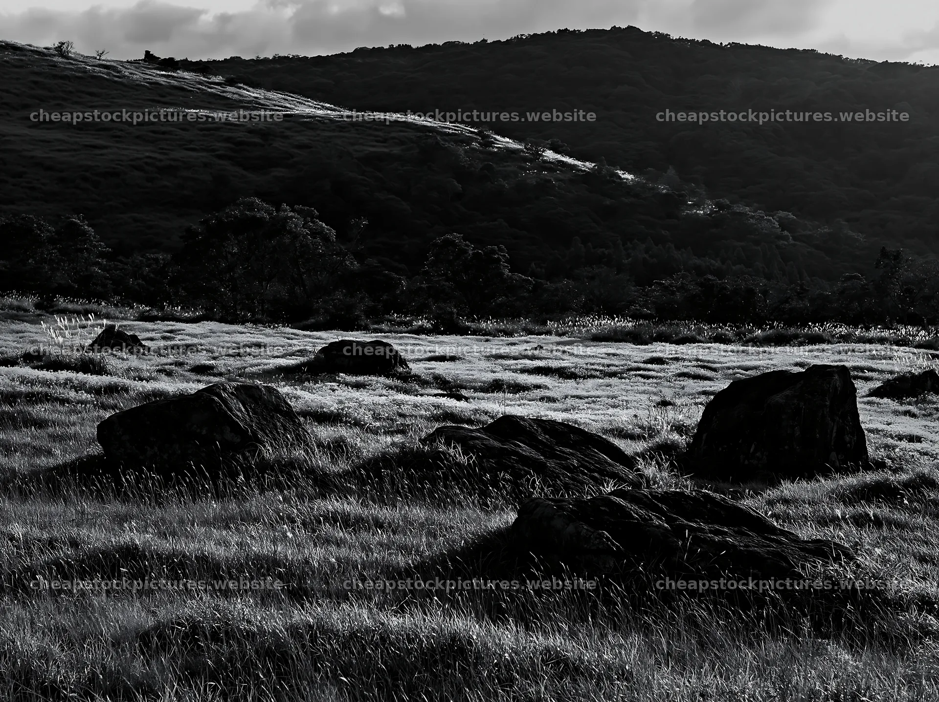 Oita highland meadow with granite stones in black and white – stock pictures 9174x6866