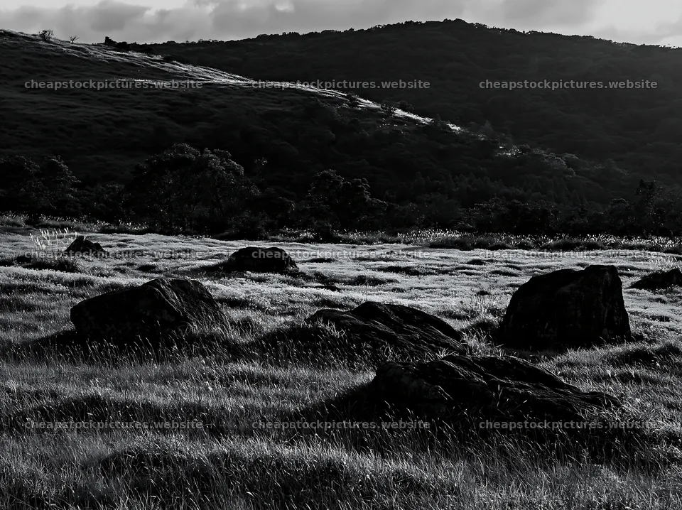 Oita highland meadow with granite stones in black and white – stock pictures 9174x6866