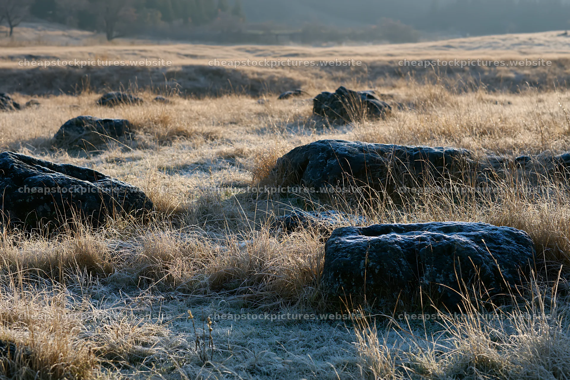Yamanashi meadow with basalt stones at sunrise – stock pictures 9722x6480