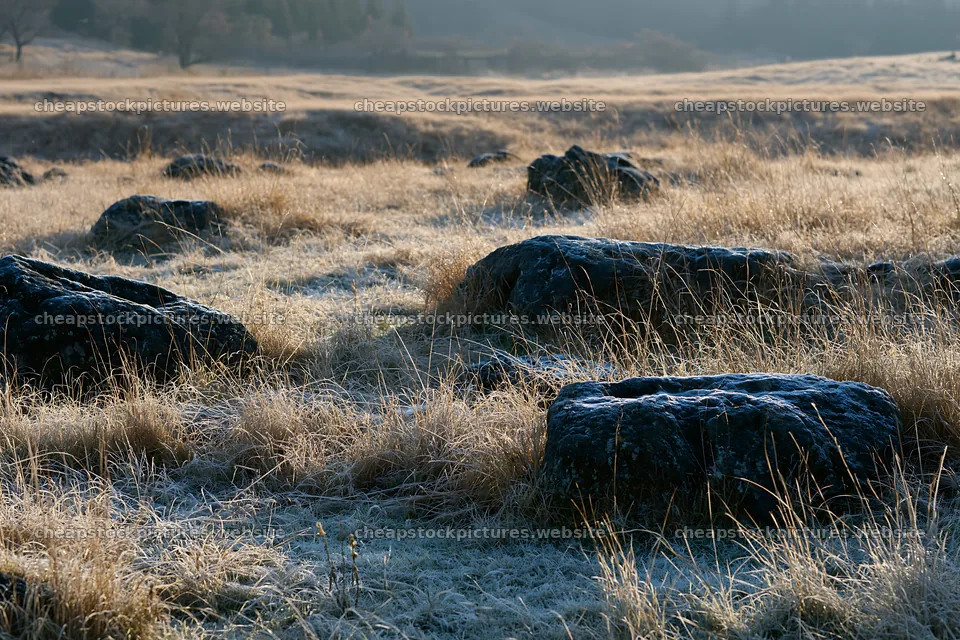 Yamanashi meadow with basalt stones at sunrise – stock pictures 9722x6480