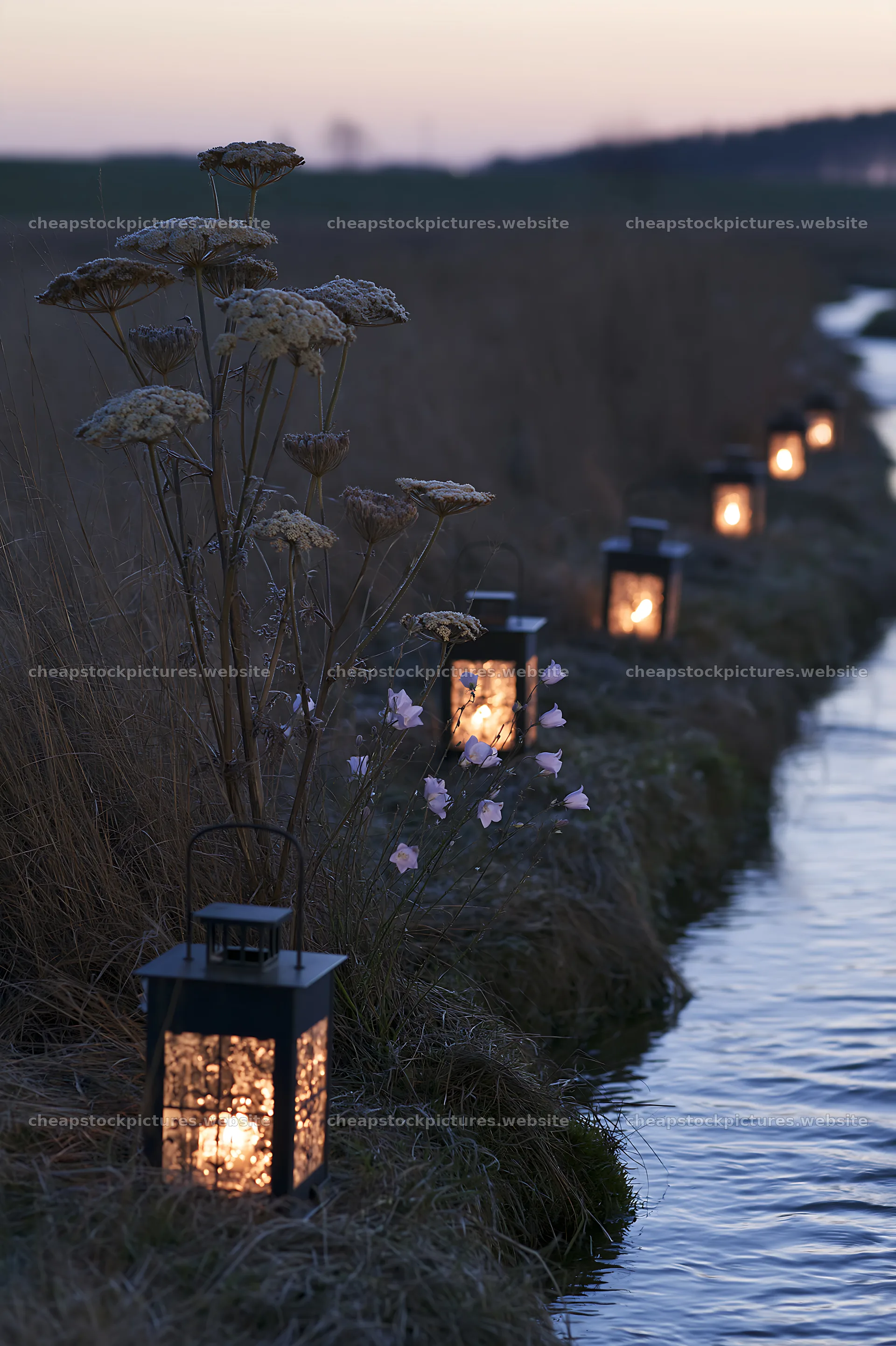 Christmas lanterns at dusk beside stream in meadow – stock pictures 6480x9722