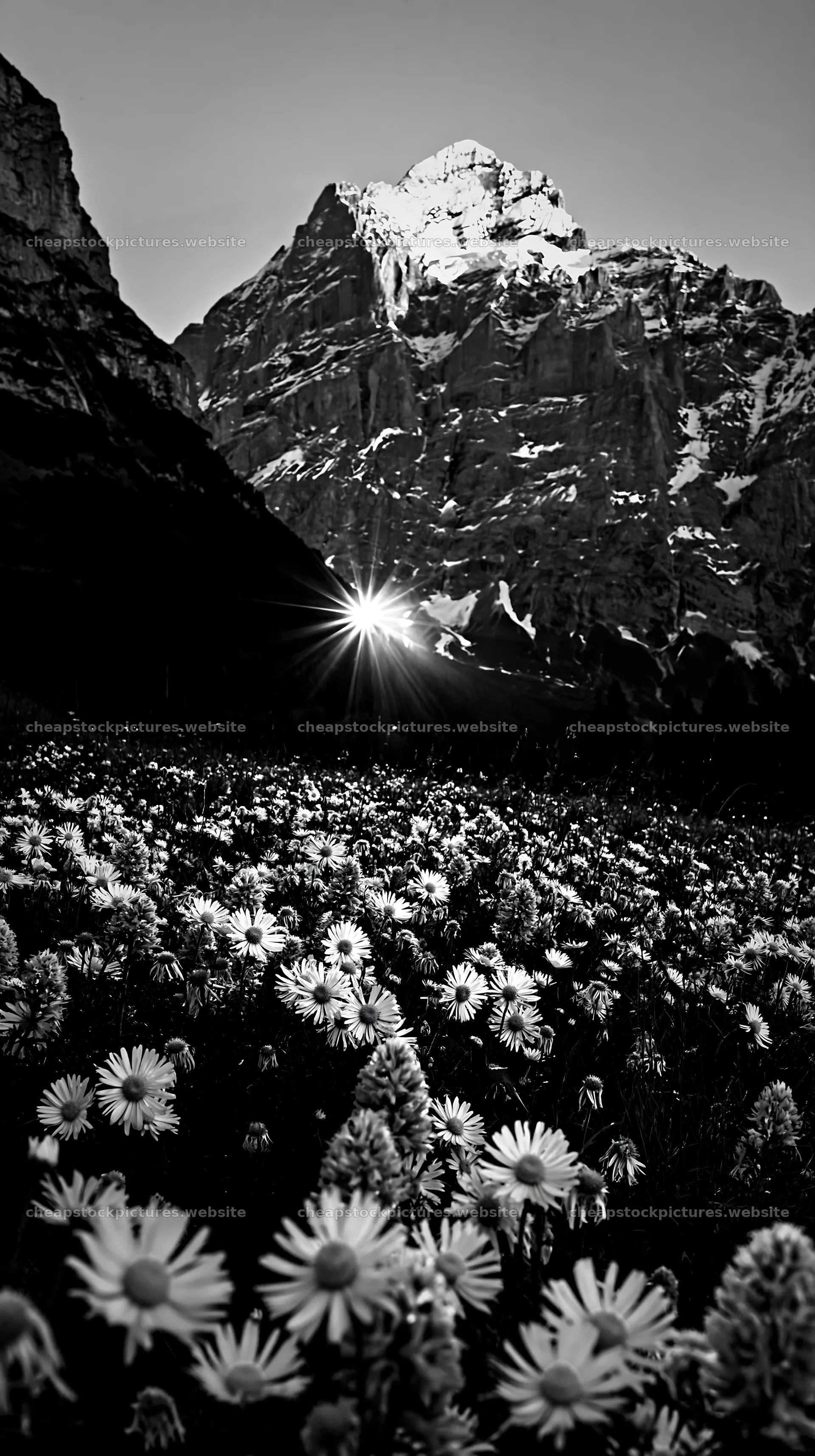 Light rays over Lauterbrunnen Valley meadow in spring – stock pictures 5938x10608