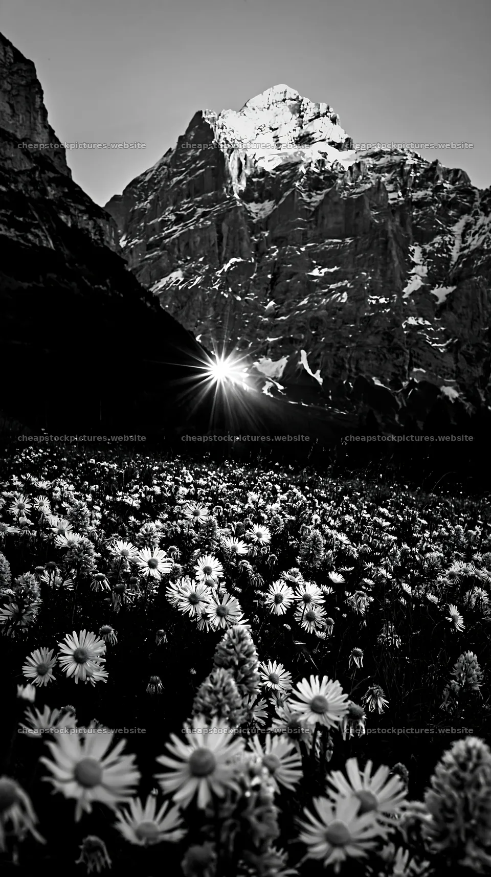 Light rays over Lauterbrunnen Valley meadow in spring – stock pictures 5938x10608