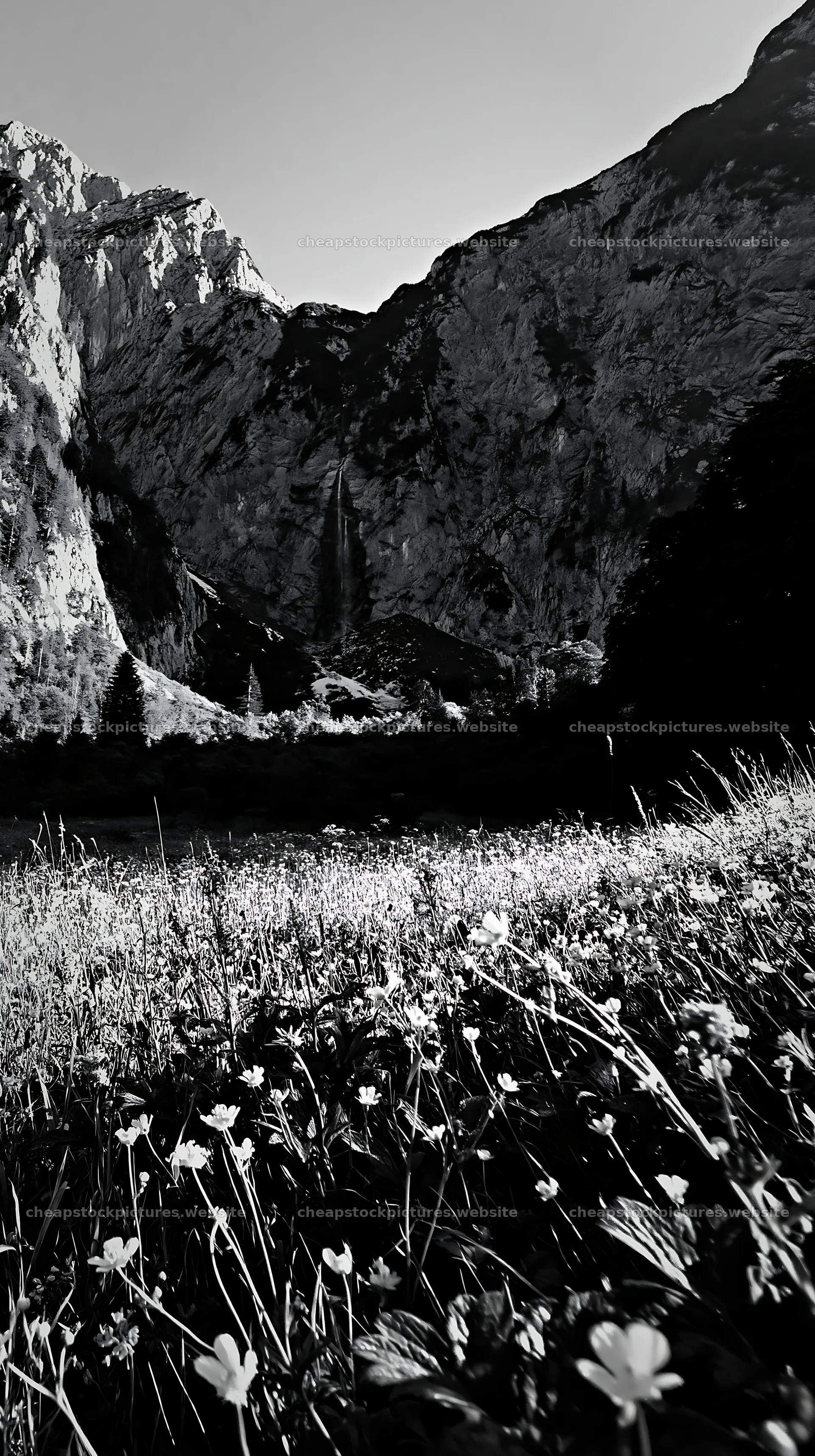 Meadow beneath crags with flowers and rocky mountains – stock pictures 5938x10608