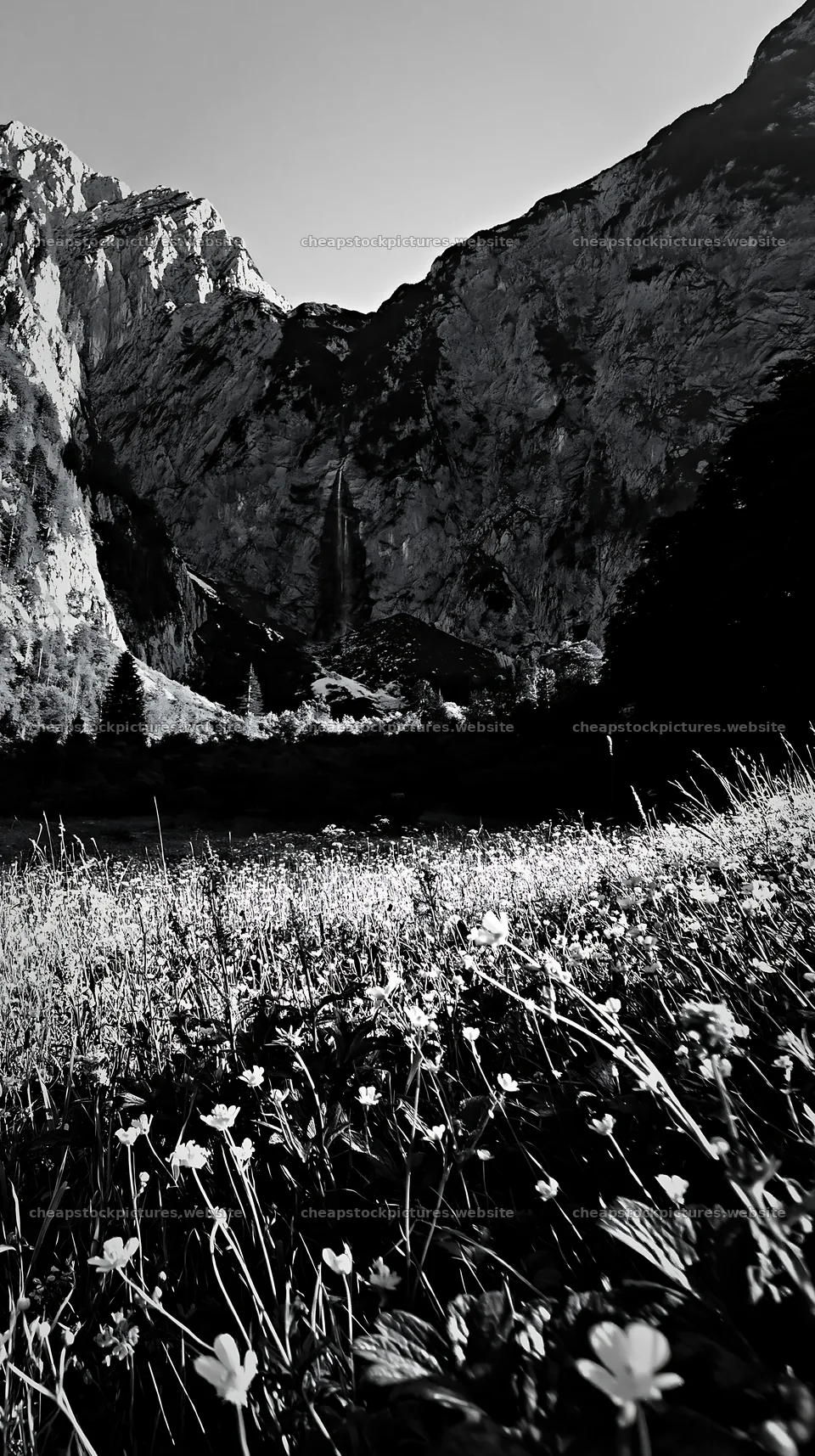 Meadow beneath crags with flowers and rocky mountains – stock pictures 5938x10608
