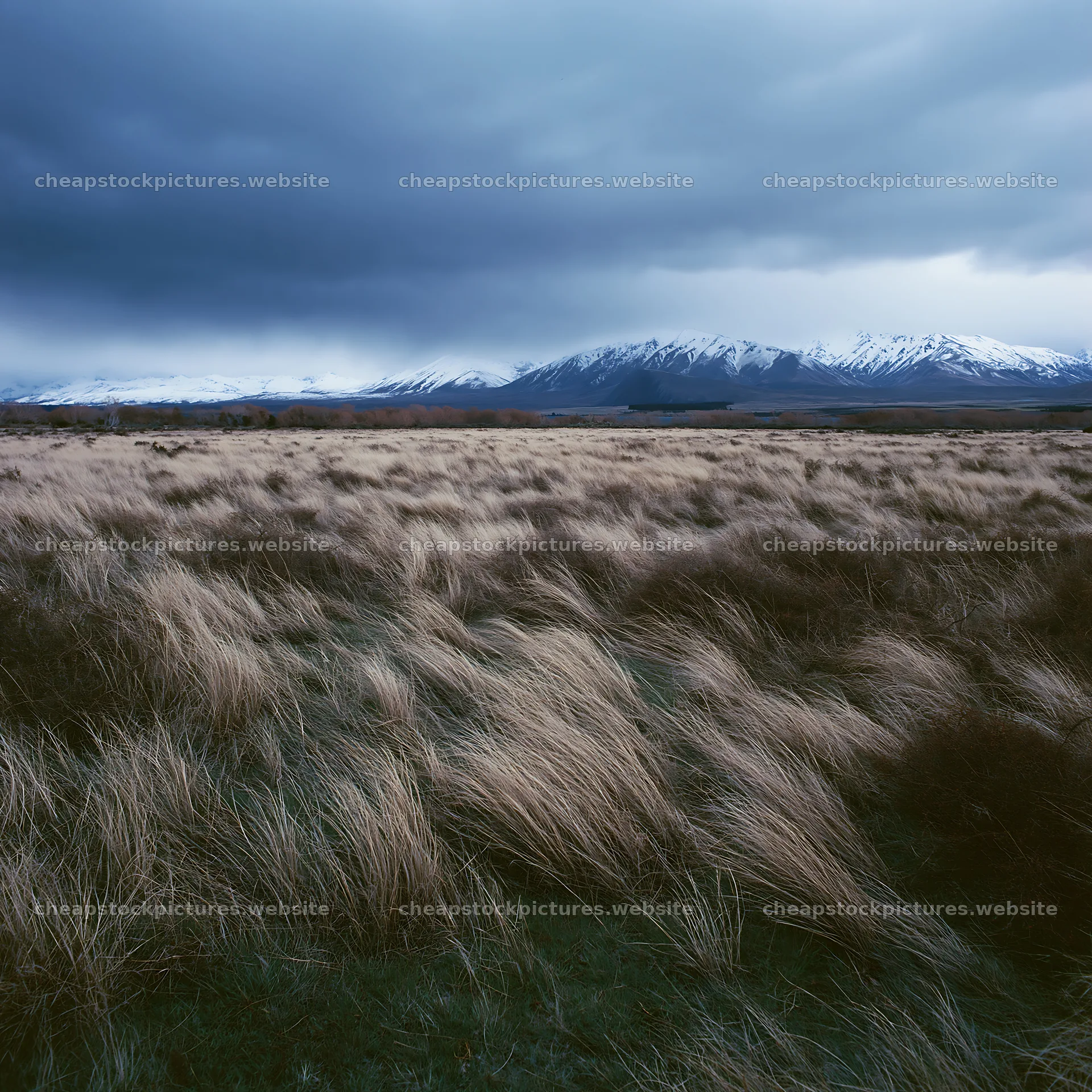 Lake Tekapo meadow with snow-covered Alps in the background – stock pictures 7938x7938