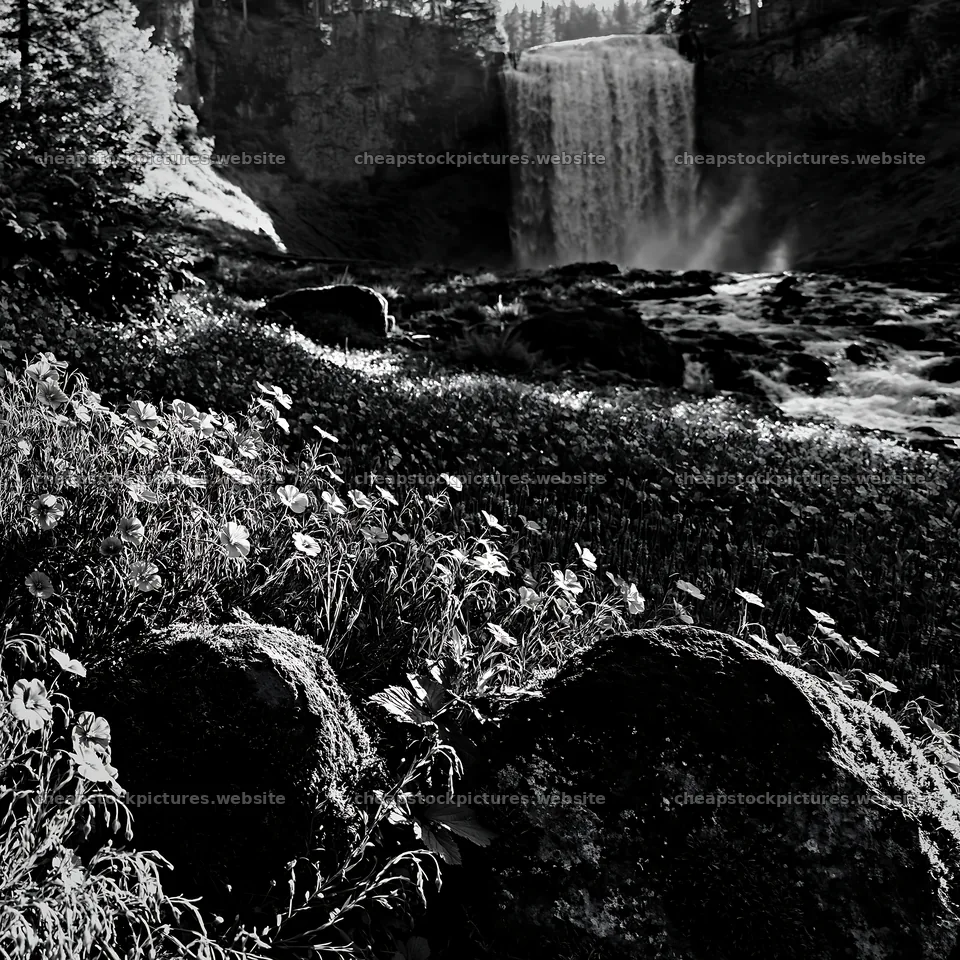 Wildflower meadow under cascading water with rocks – stock pictures 7938x7938