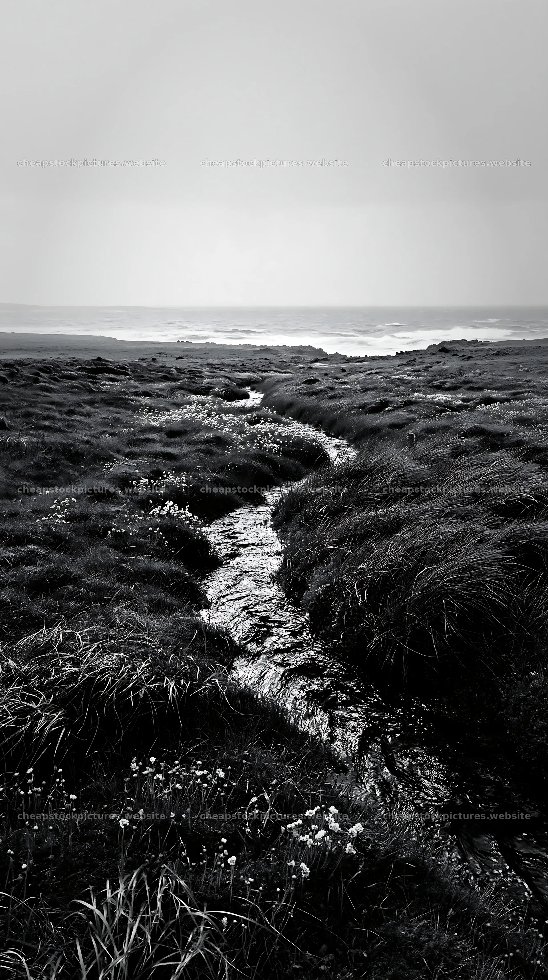 High contrast winding stream in a meadow landscape – stock pictures 5938x10608