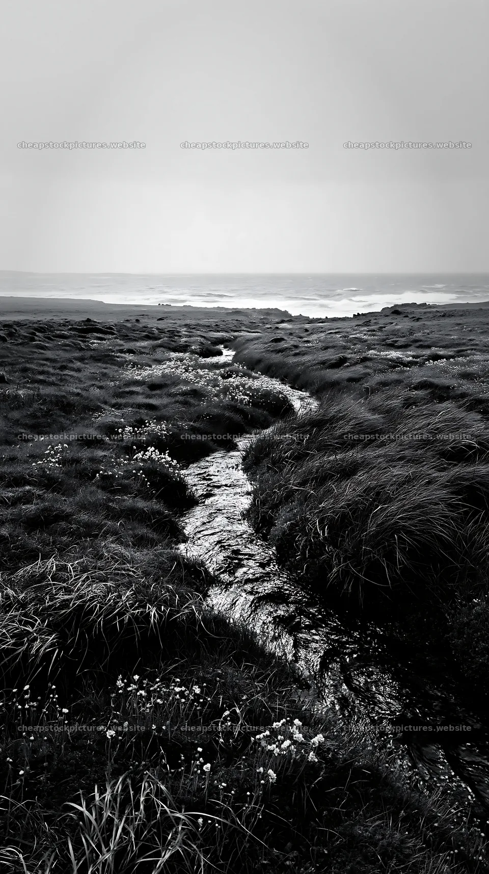 High contrast winding stream in a meadow landscape – stock pictures 5938x10608