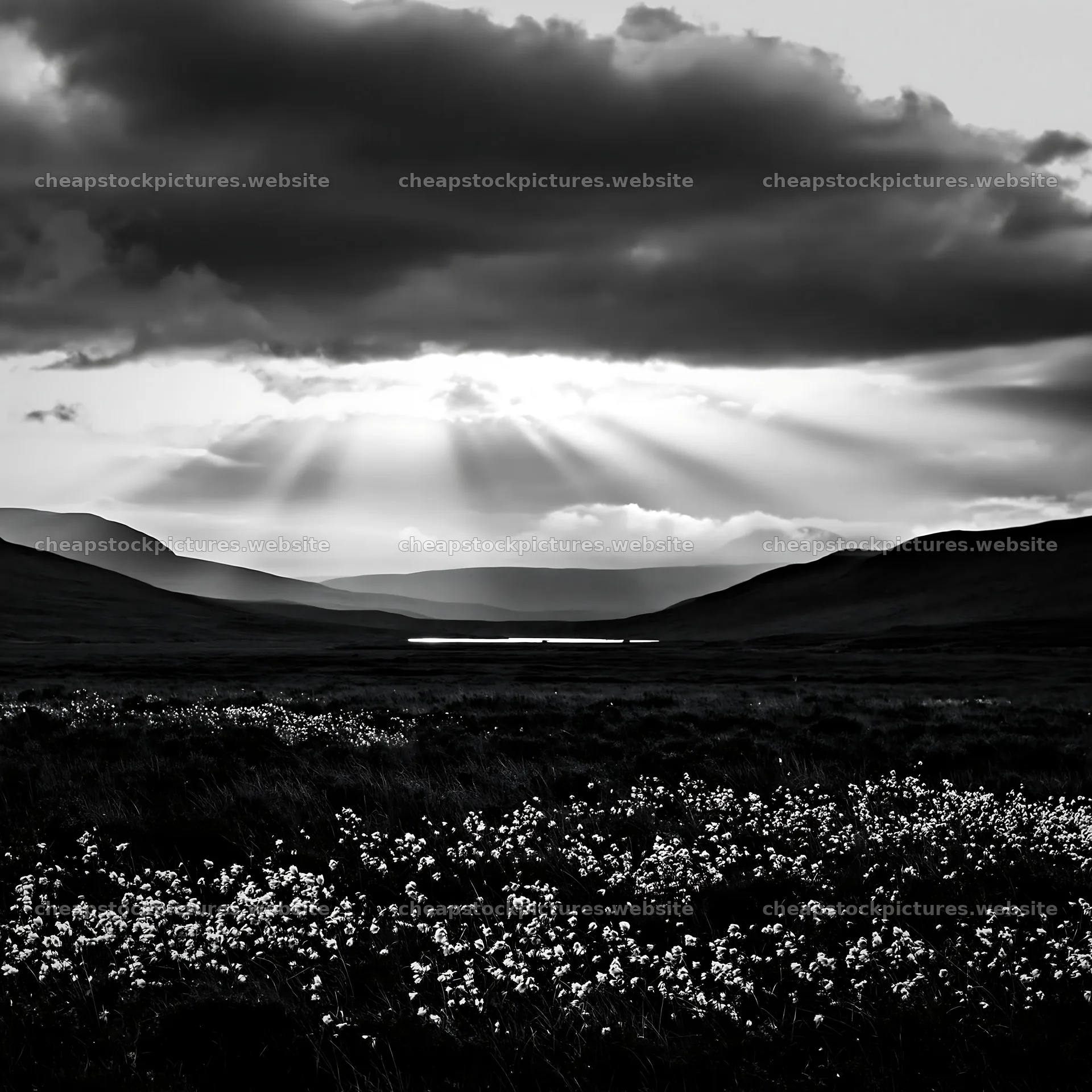 Crepuscular rays meadow with clouds and distant mountains – stock pictures 7938x7938