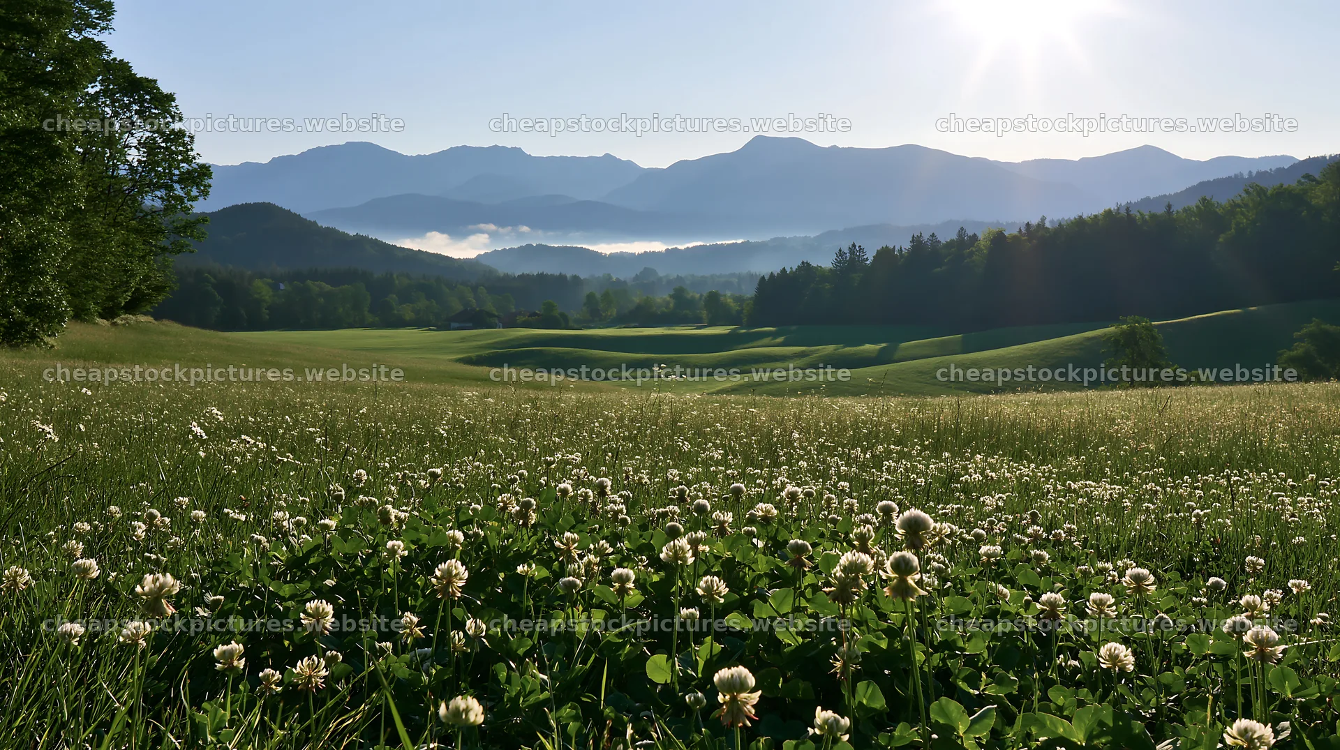 Rolling valley meadows with flowers and distant mountains – stock pictures 10608x5938