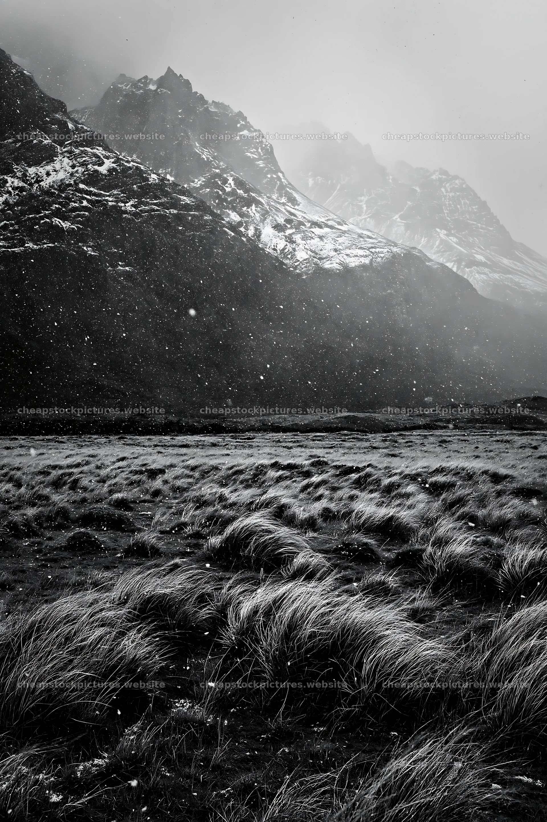 Torres del Paine meadow covered in snow and fog – stock pictures 6480x9722