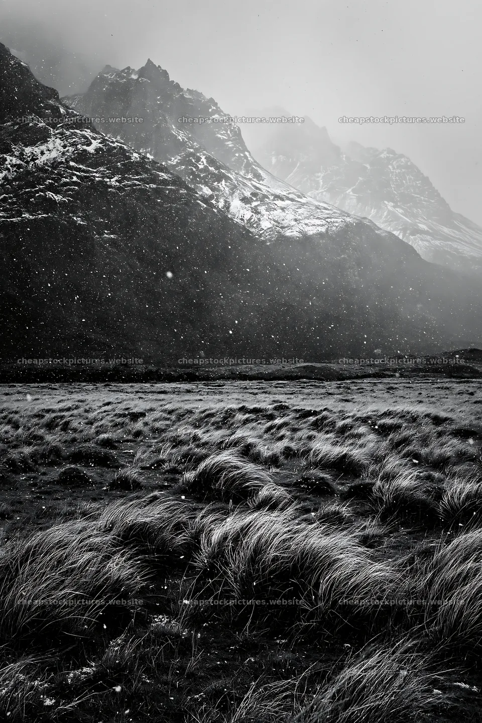 Torres del Paine meadow covered in snow and fog – stock pictures 6480x9722