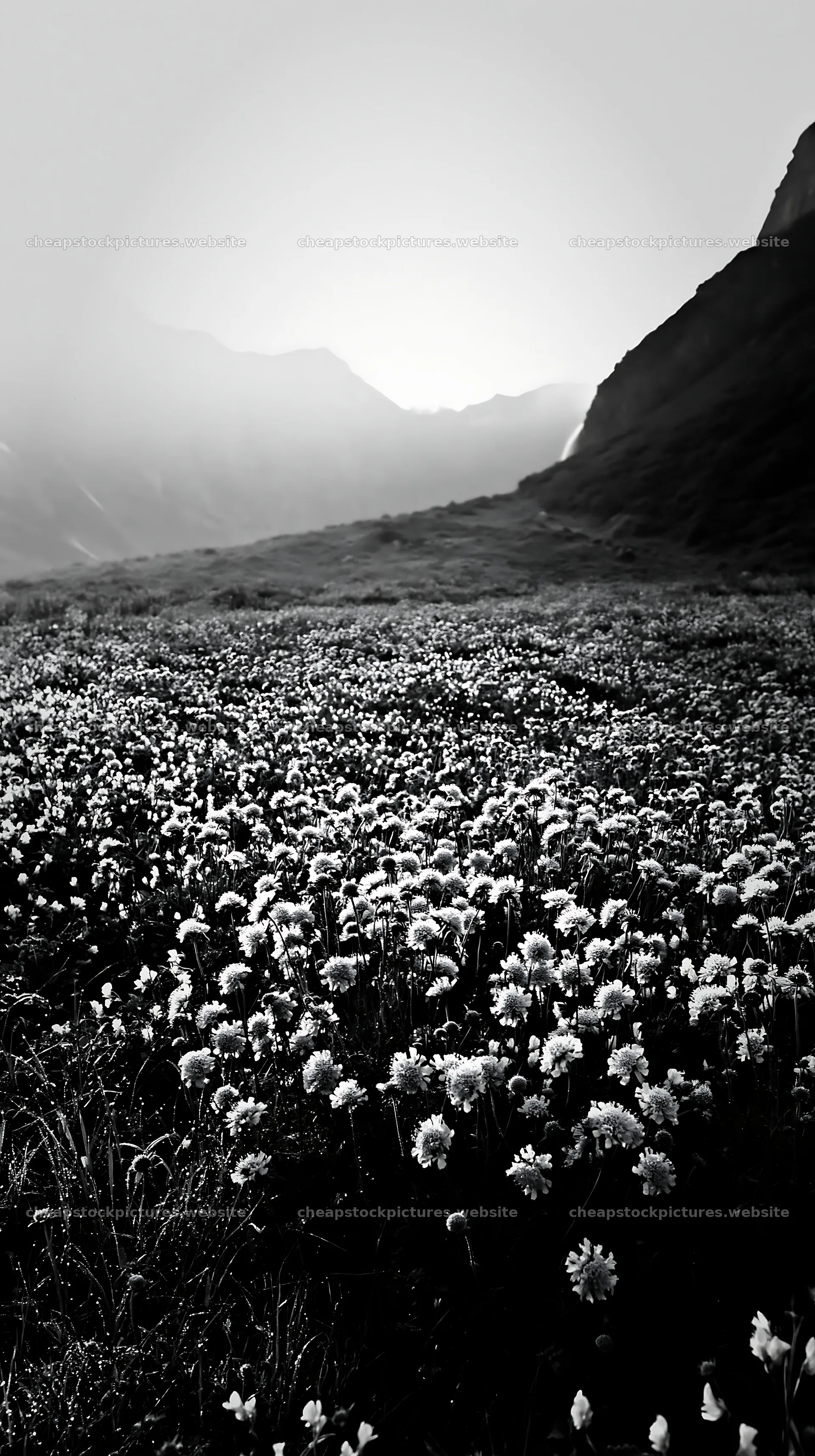 Wildflower meadow with waterfall mist – stock pictures 5938x10608