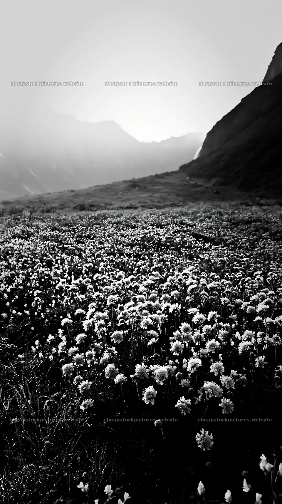 Wildflower meadow with waterfall mist – stock pictures 5938x10608