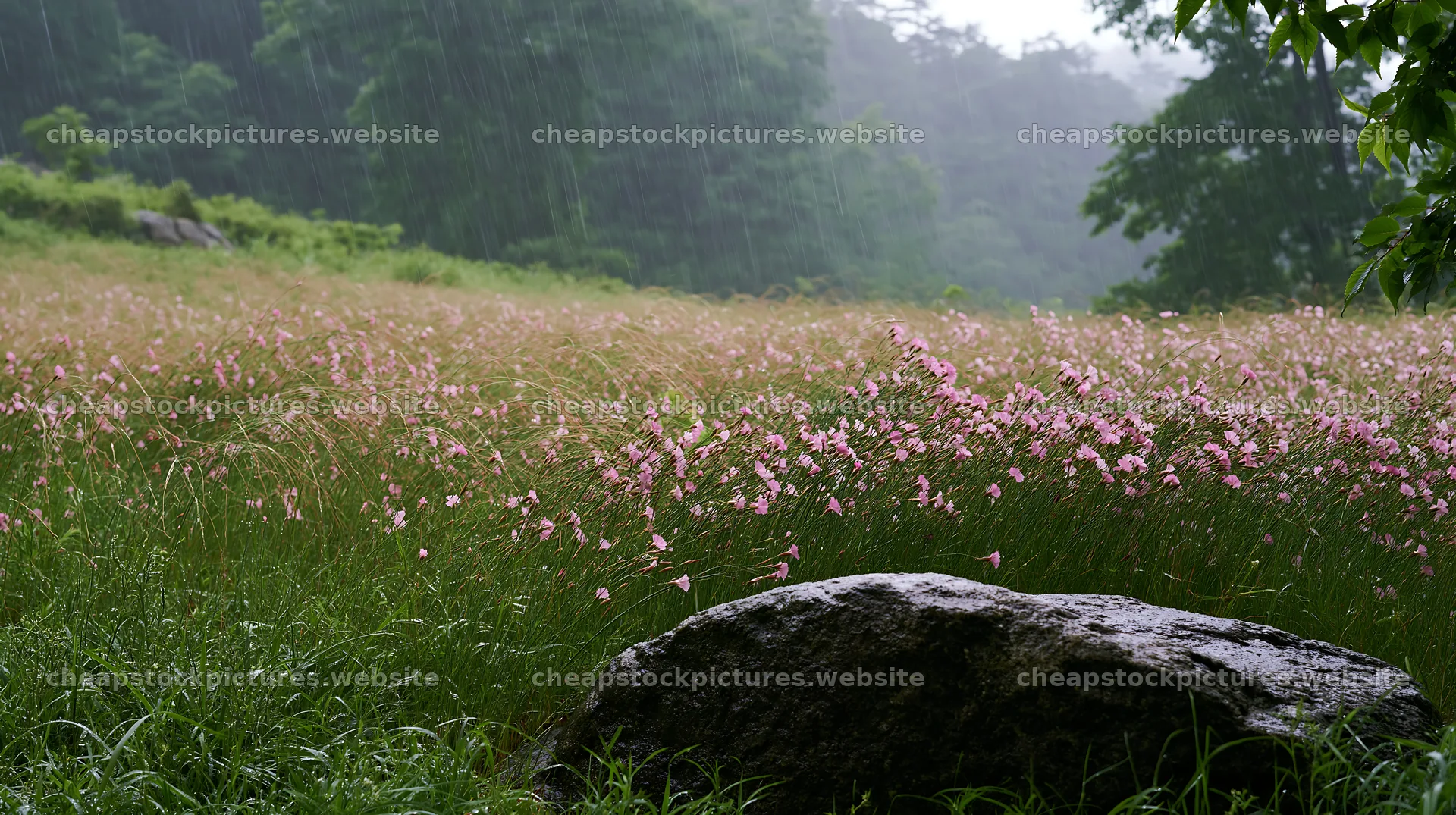 Hiroshima rainy meadow smooth rock foreground – stock pictures 10608x5938
