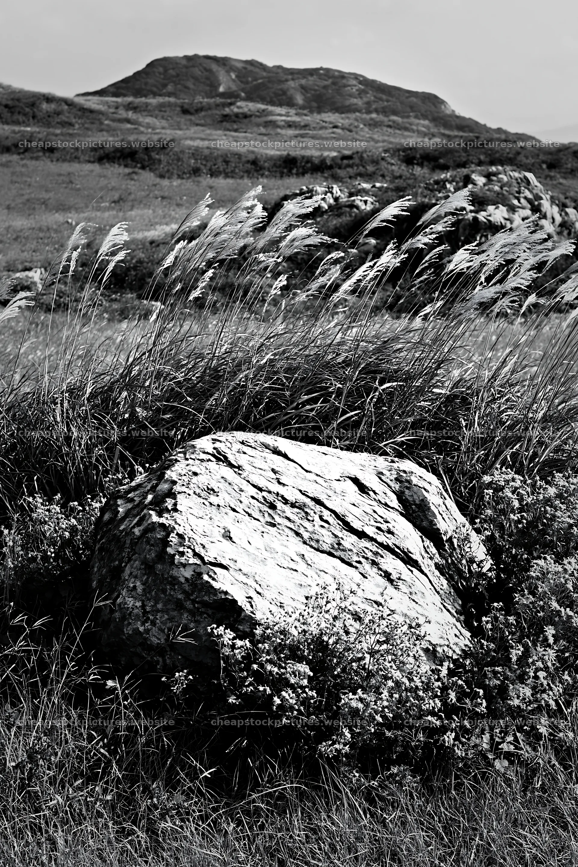 Yamaguchi limestone meadow with pale boulder in natural setting – stock pictures 6480x9722