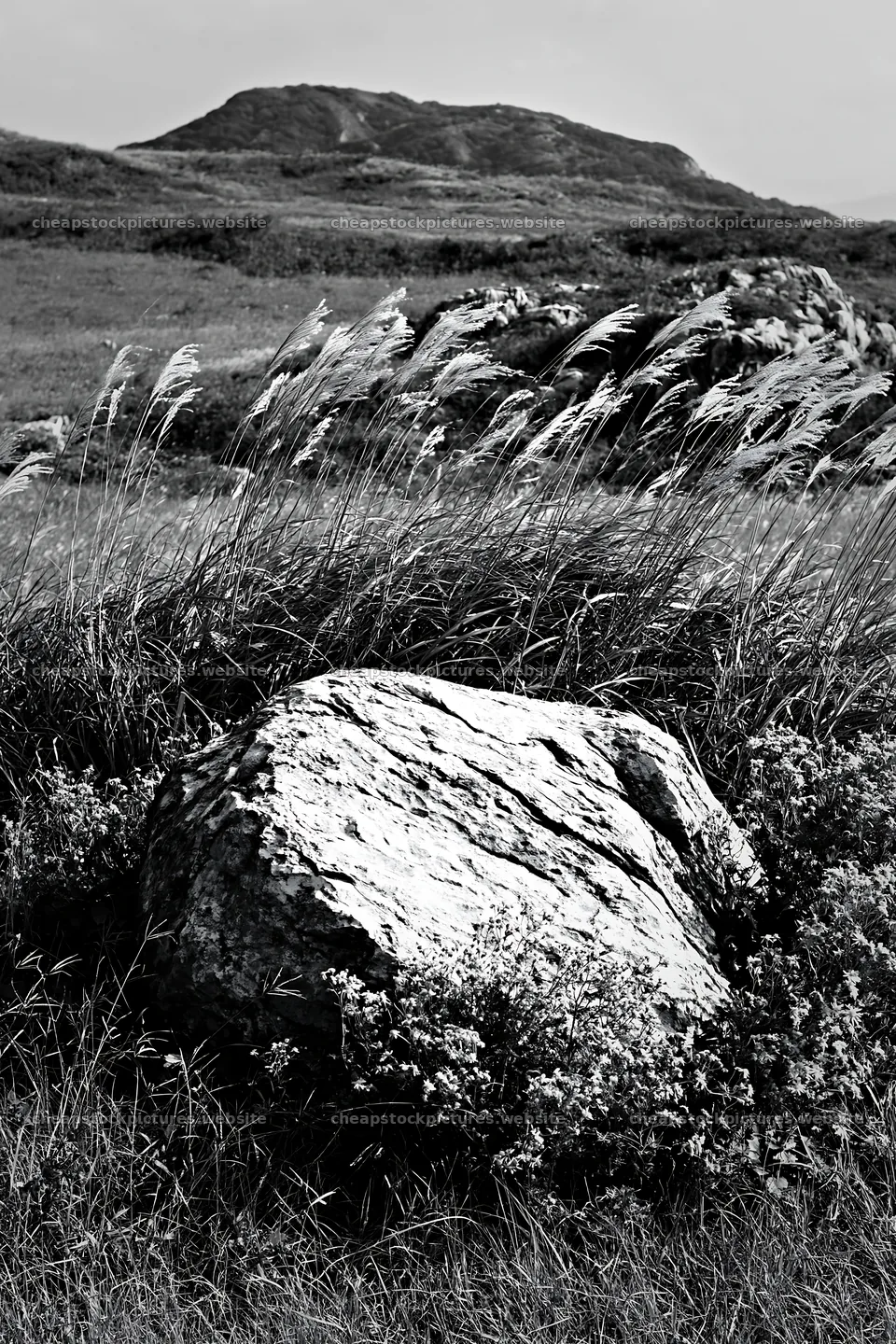 Yamaguchi limestone meadow with pale boulder in natural setting – stock pictures 6480x9722
