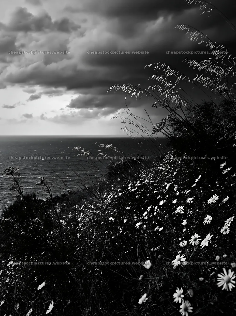 Seaside orchard meadow with flowers and ocean view – stock pictures 6866x9174