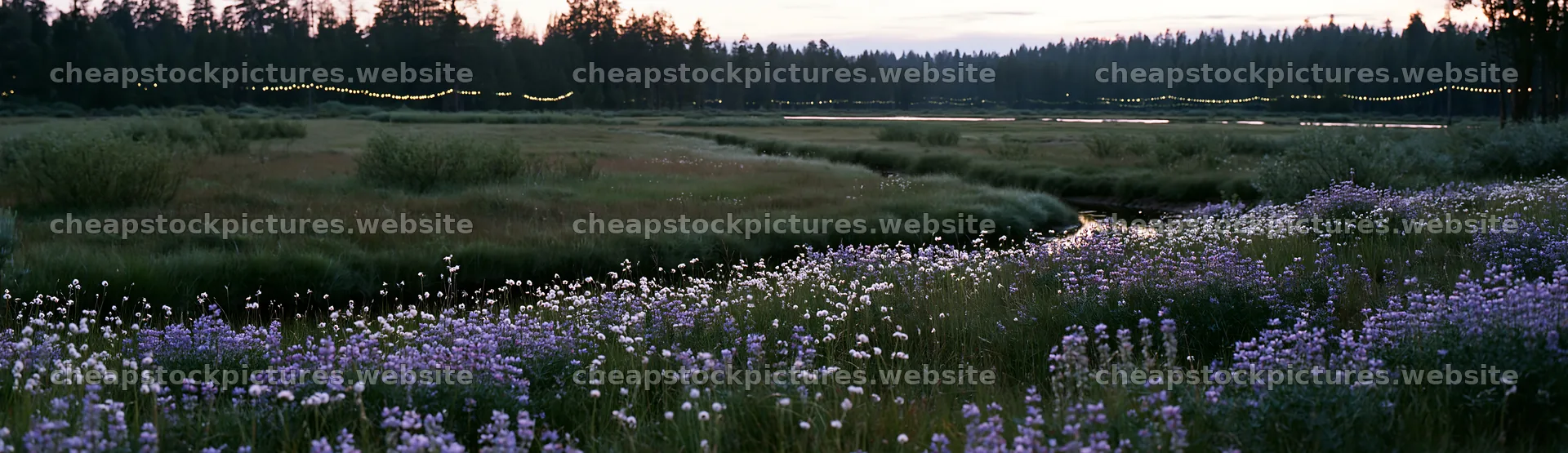 Christmas lights above stream in meadow with blooming flowers – stock pictures 14762x4268
