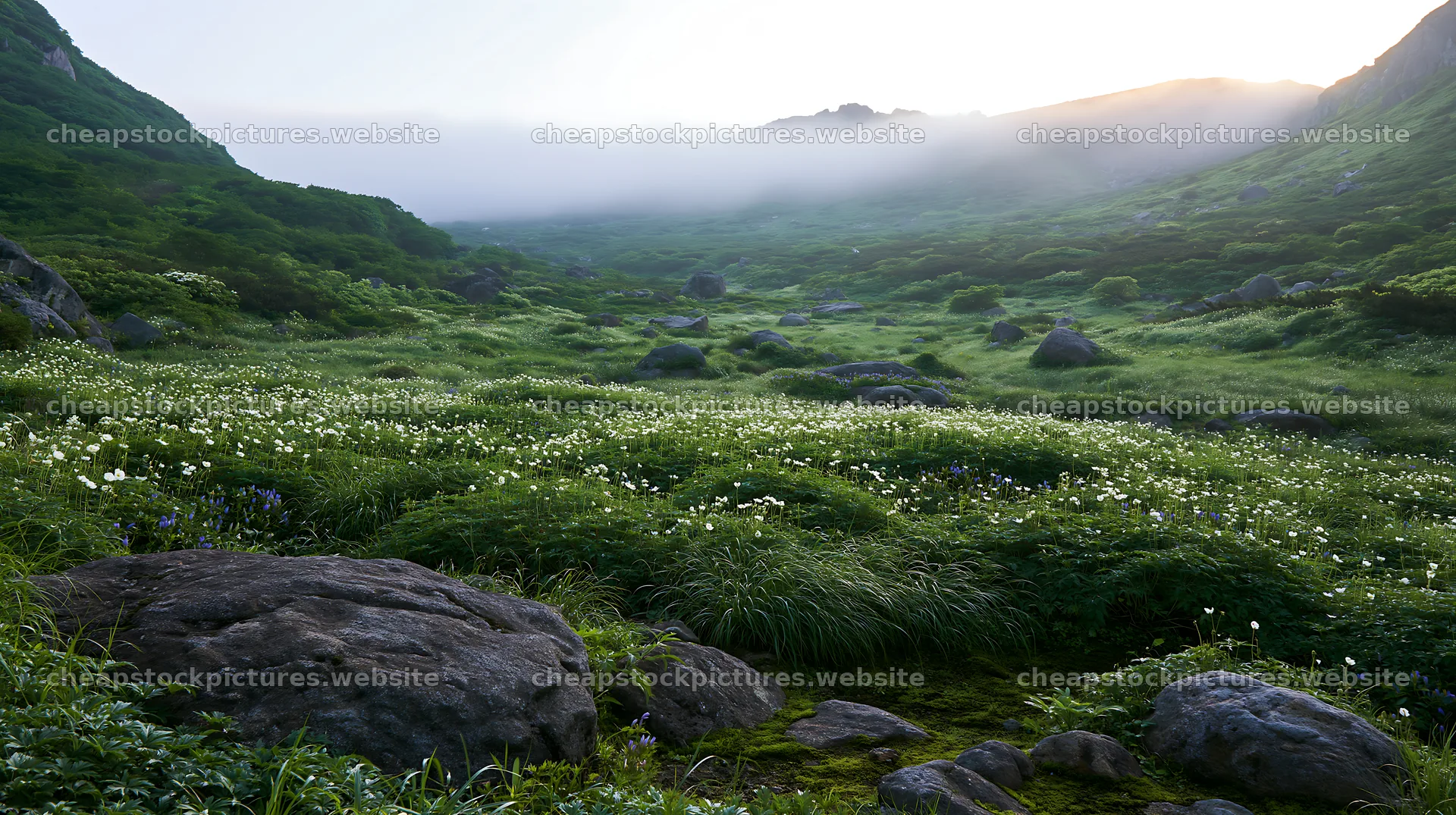 Toyama alpine meadow snowmelt rock foreground with green landscape – stock pictures 10608x5938