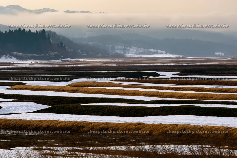 Akita snowmelt meadow with silver grasses under soft clouds – stock pictures 9722x6480