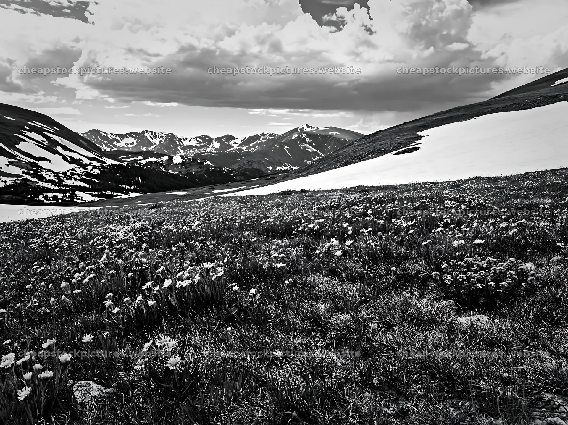 Snowy Rocky Mountain Park meadow with mountain background – stock pictures 9174x6866