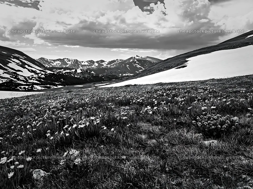 Snowy Rocky Mountain Park meadow with mountain background – stock pictures 9174x6866