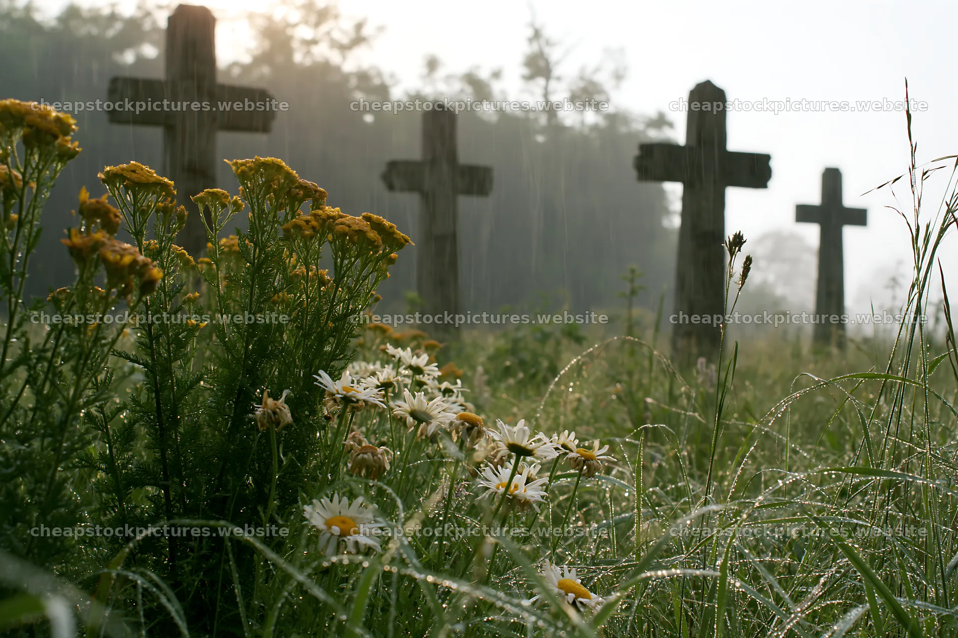 Christian crosses in rain soaked meadow with wildflowers – stock pictures 9722x6480
